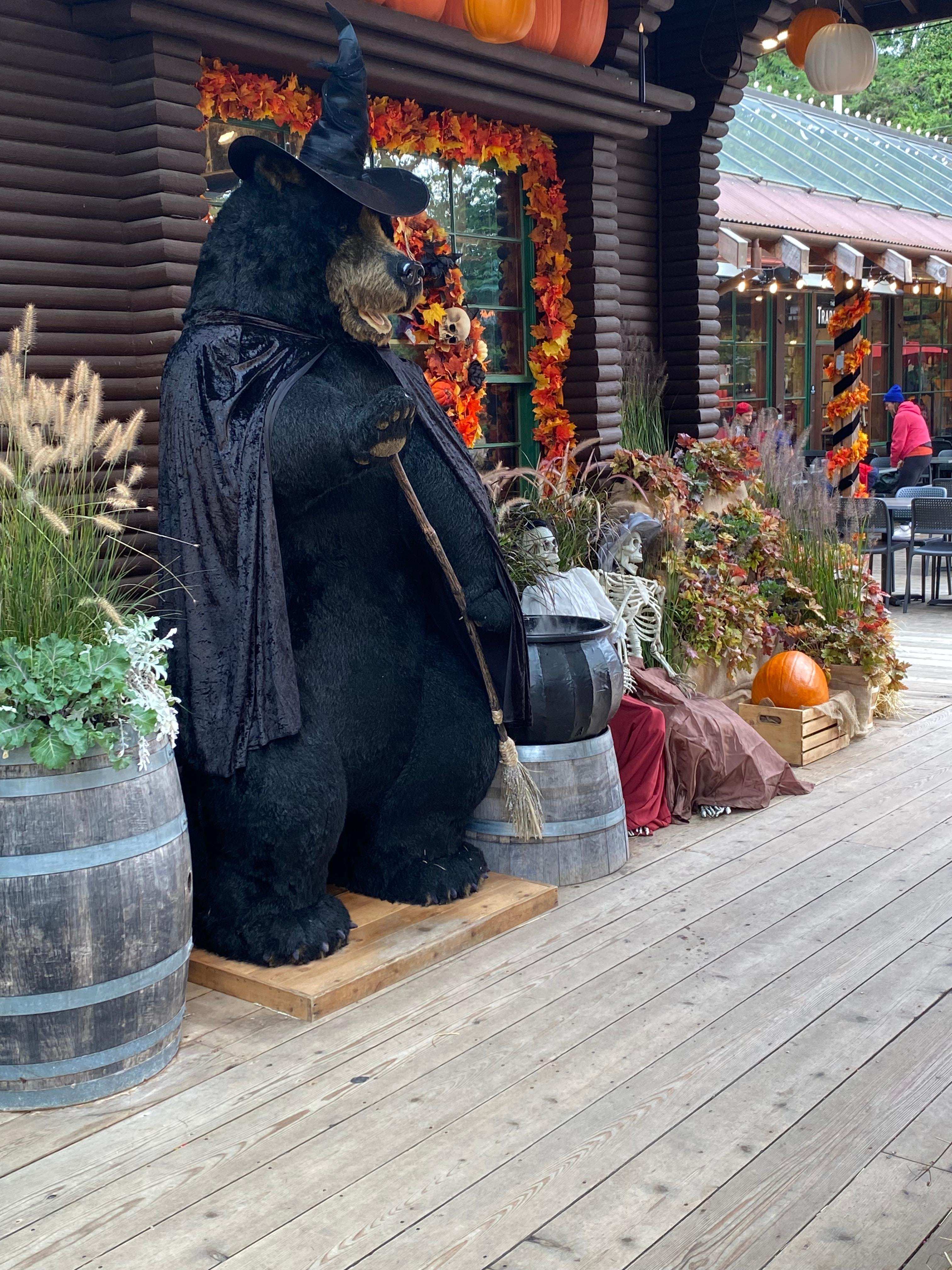 Private Vancouver Highlights: Capilano Suspension & Grouse Mountain