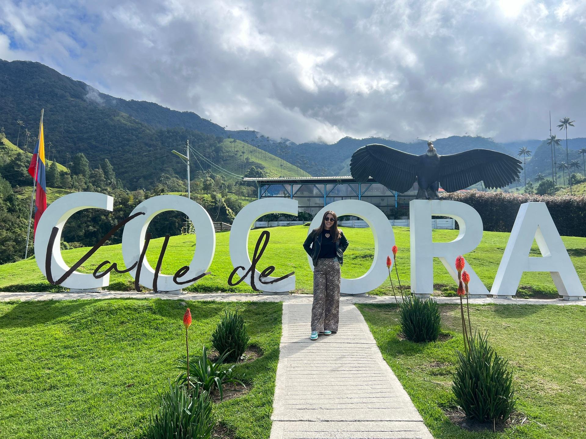 Cocora Valley Guided Day Tour from Salento