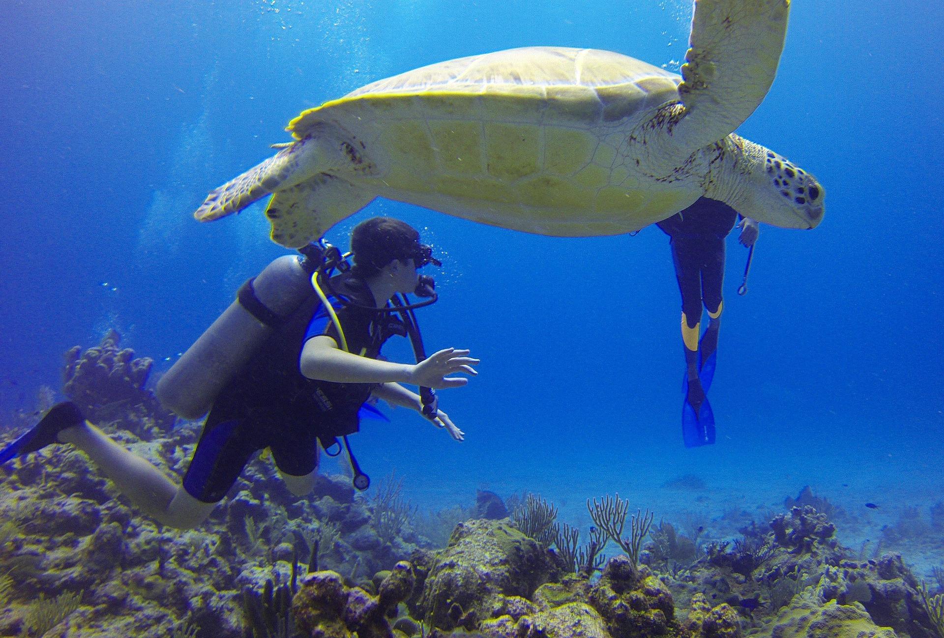 Beginner-Friendly Scuba Diving Experience in Rhodes