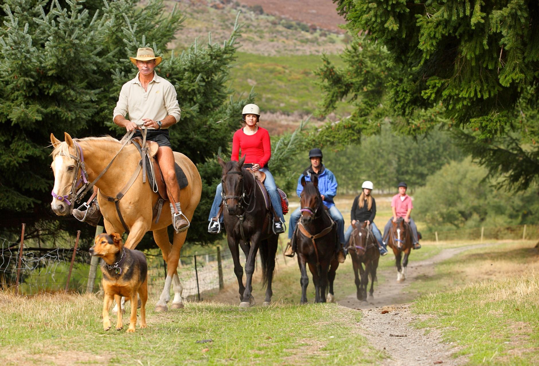 Queenstown: Walter Peak Horse Trek & Lake Cruise