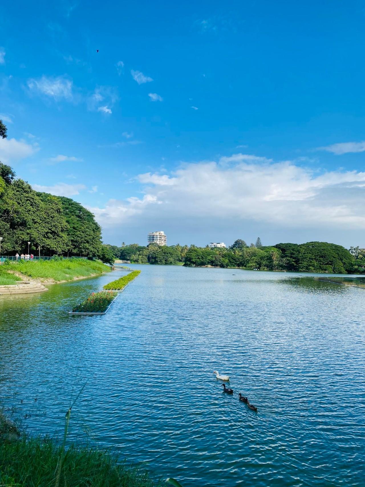 Lalbagh Botanical Garden Guided Discovery Tour