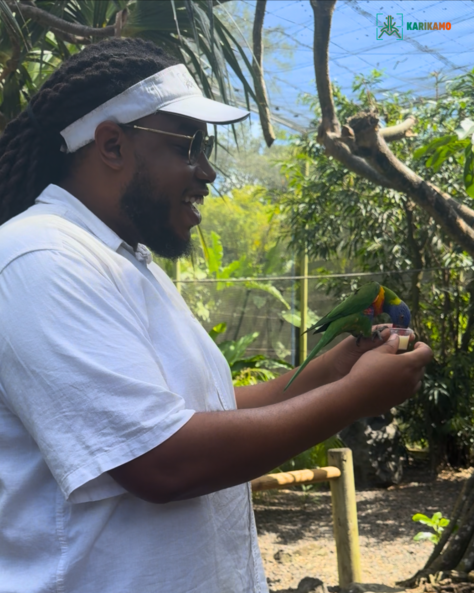 Private Guadeloupe Island Discovery in Premium SUV