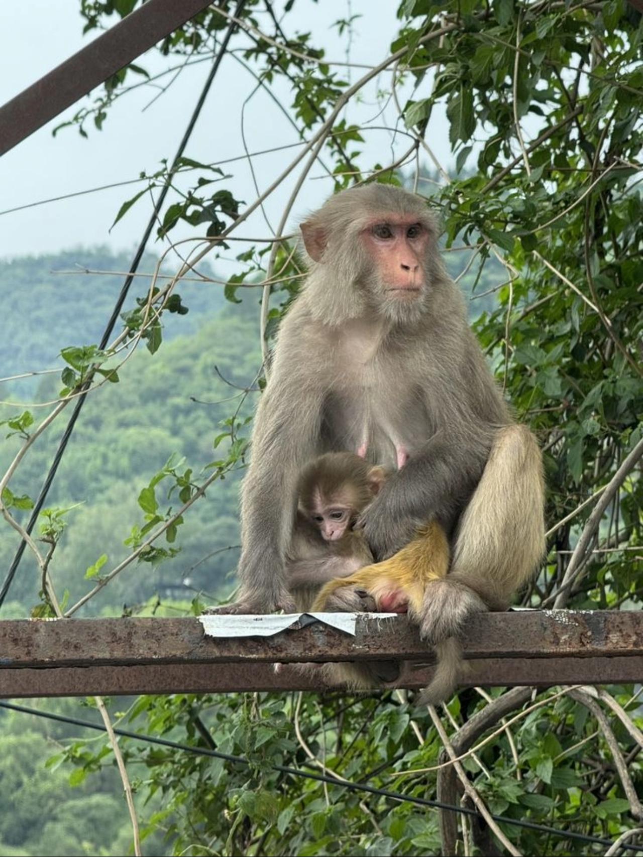 Mumbai Nature & Heritage: Kanheri Caves, Safari & Jain Temple