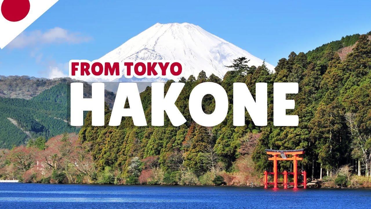 Tokyo to Mt. Fuji & Hakone: Private Full-Day Tour with English Driver