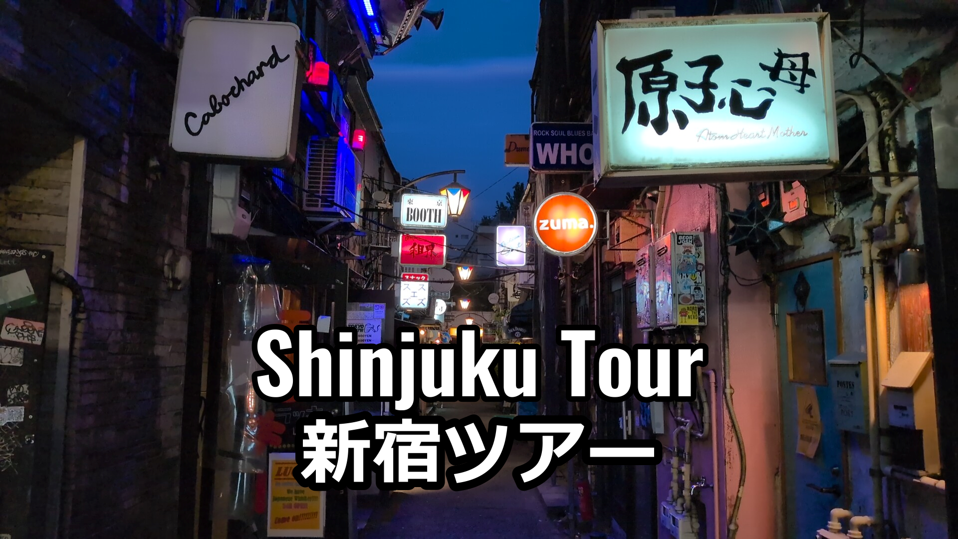 Shinjuku Night Walk: Izakayas, Sake & Hidden Alleys