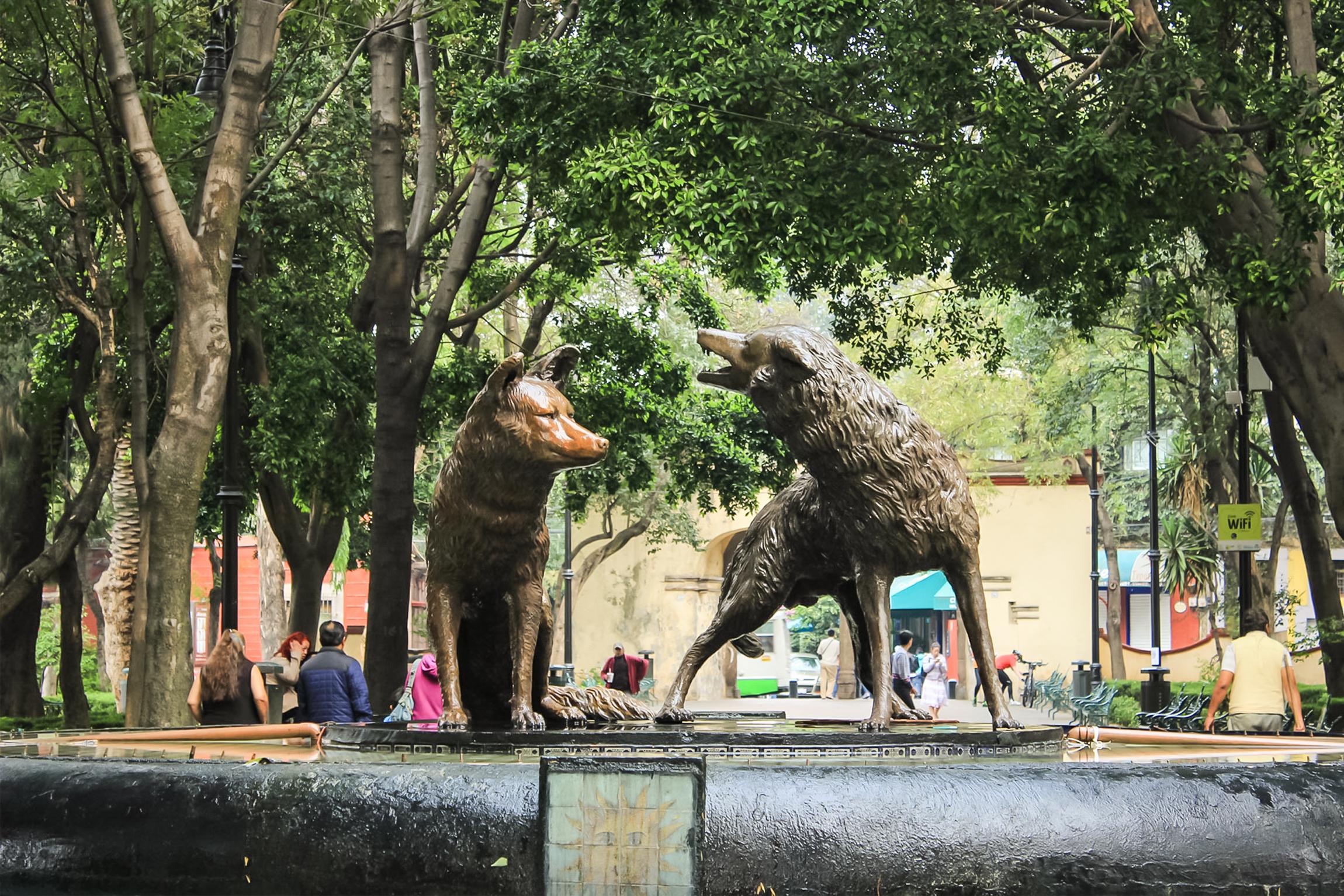 Mexico City: Xochimilco, Coyoacán & Frida Kahlo Experience