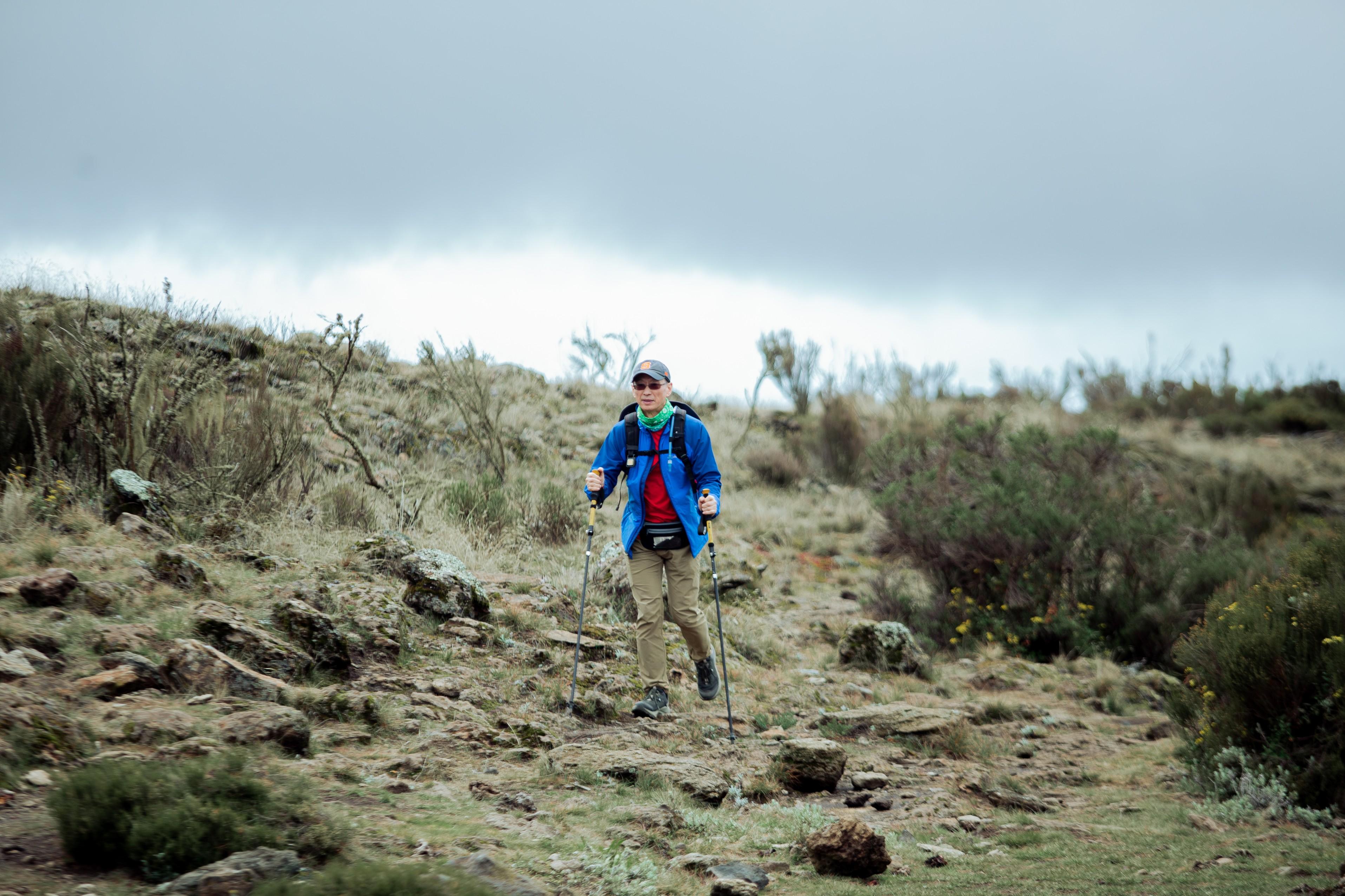 Kilimanjaro Day Hike via Marangu Route