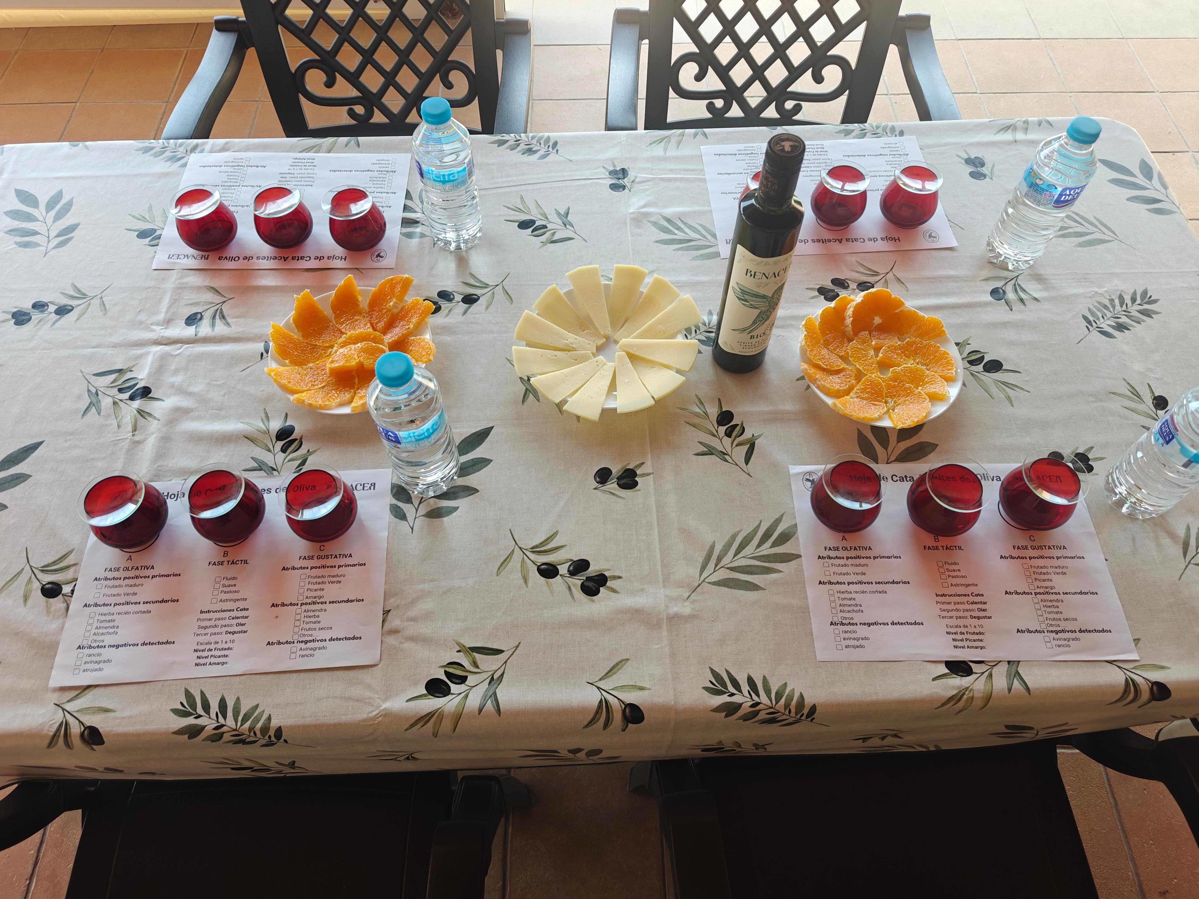 food tour in Córdoba — photo 6