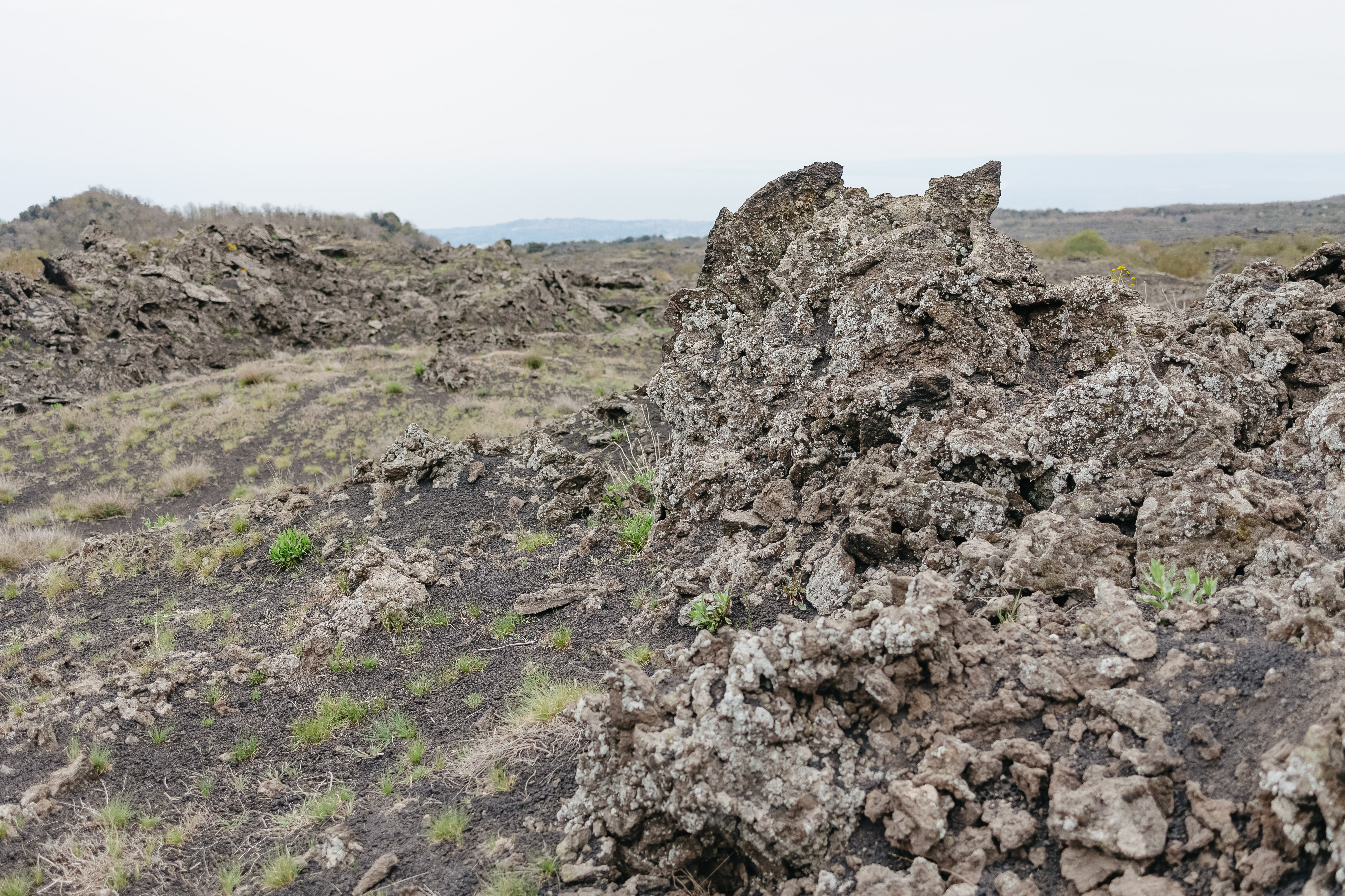Mount Etna guided tour photo — image 23