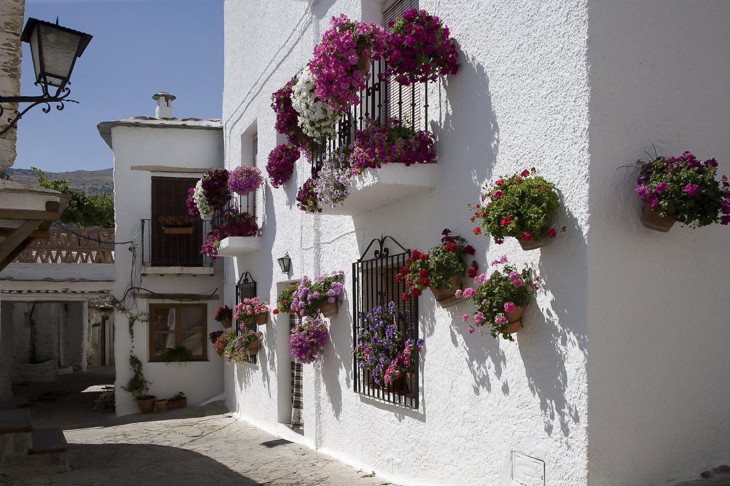 Alpujarra Mountain Villages Day Trip from Granada