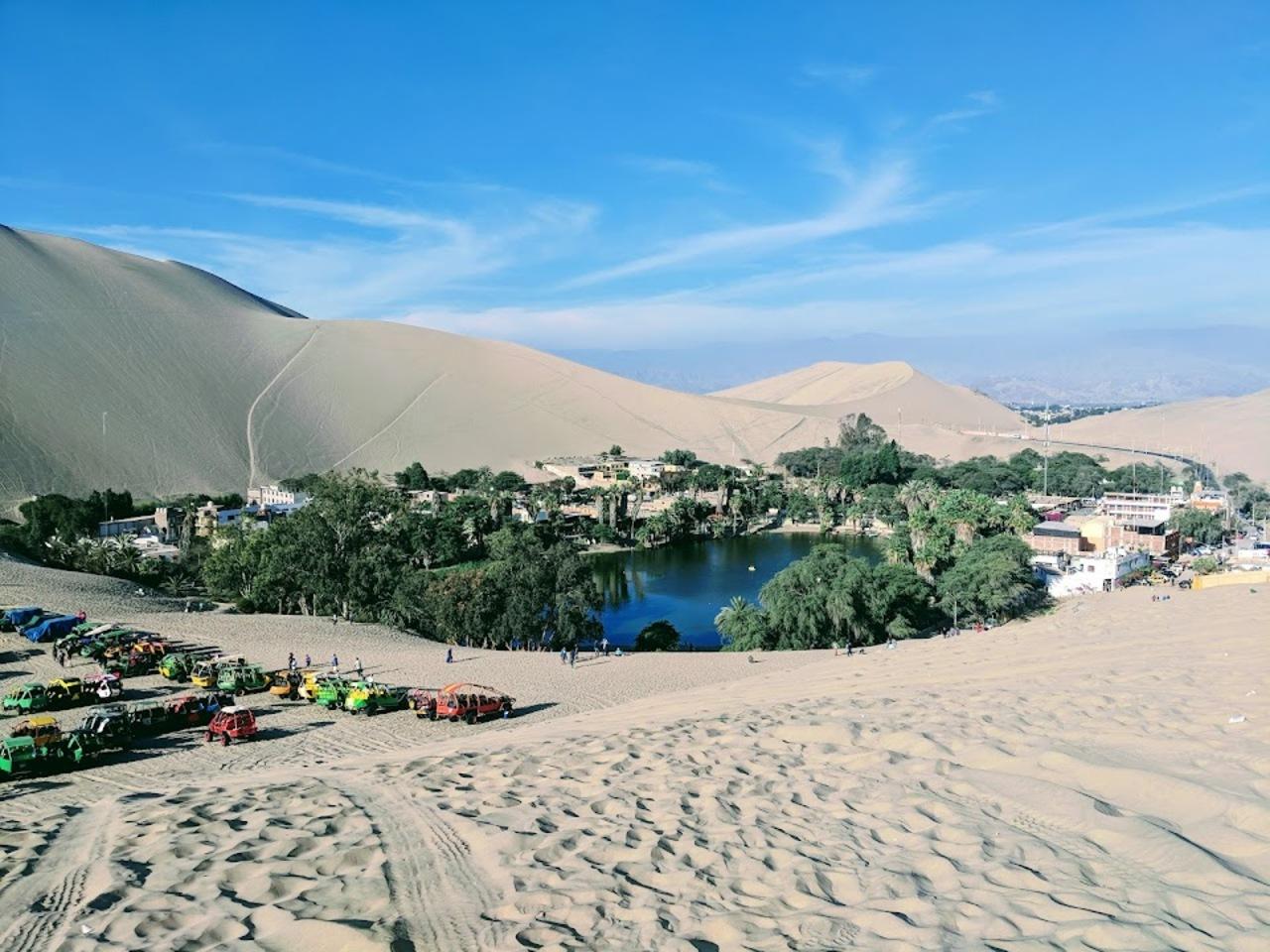 Excursión de un día a Paracas y Huacachina: vida silvestre, aventura en el desierto y cata de vinos