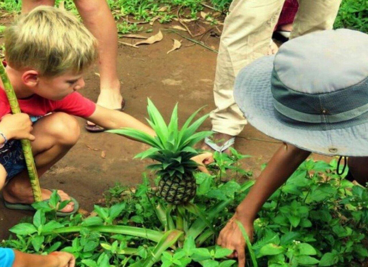 Zanzibar Spice Farm Discovery Tour