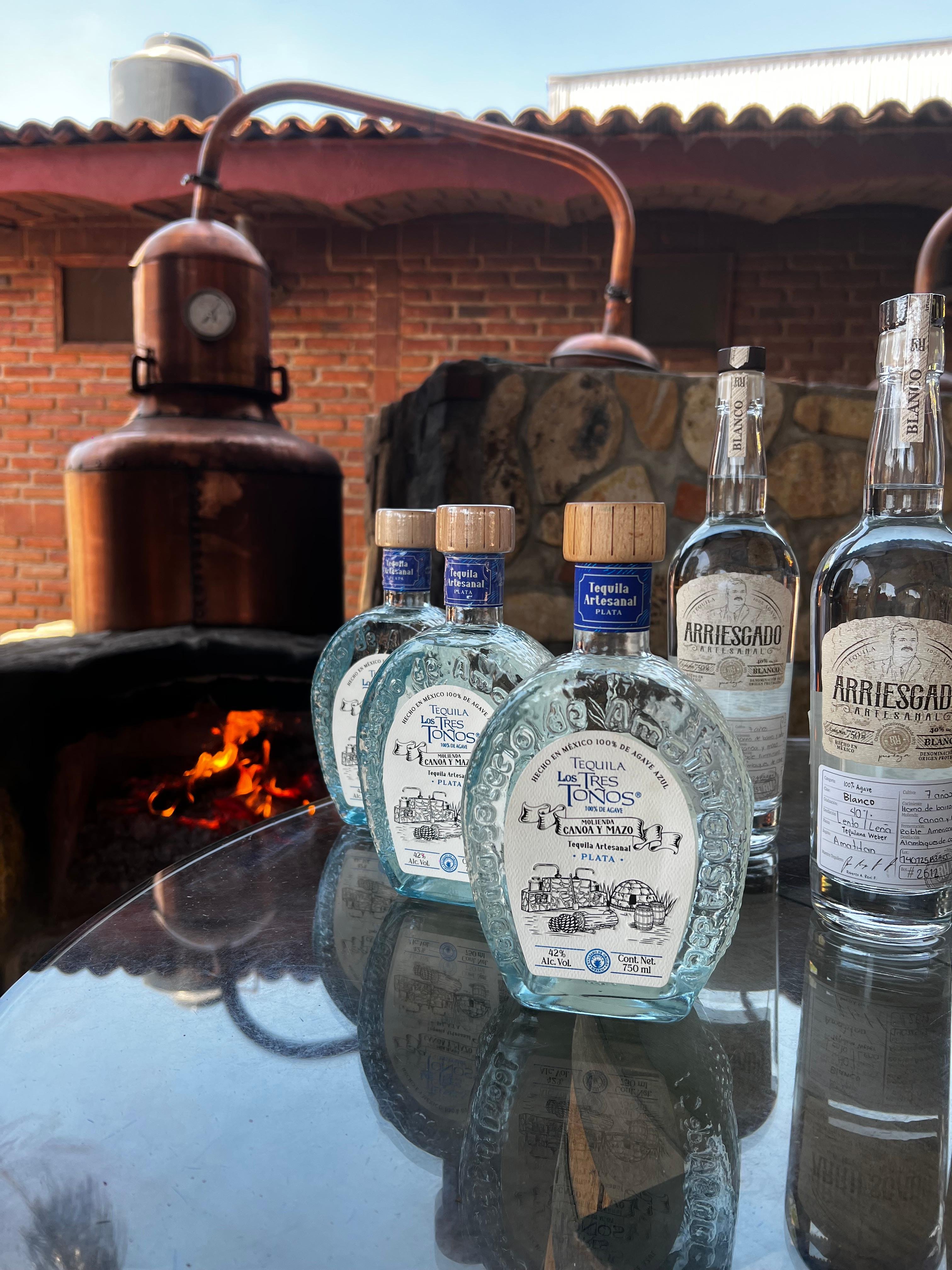 tequila tour in Guadalajara — photo 31