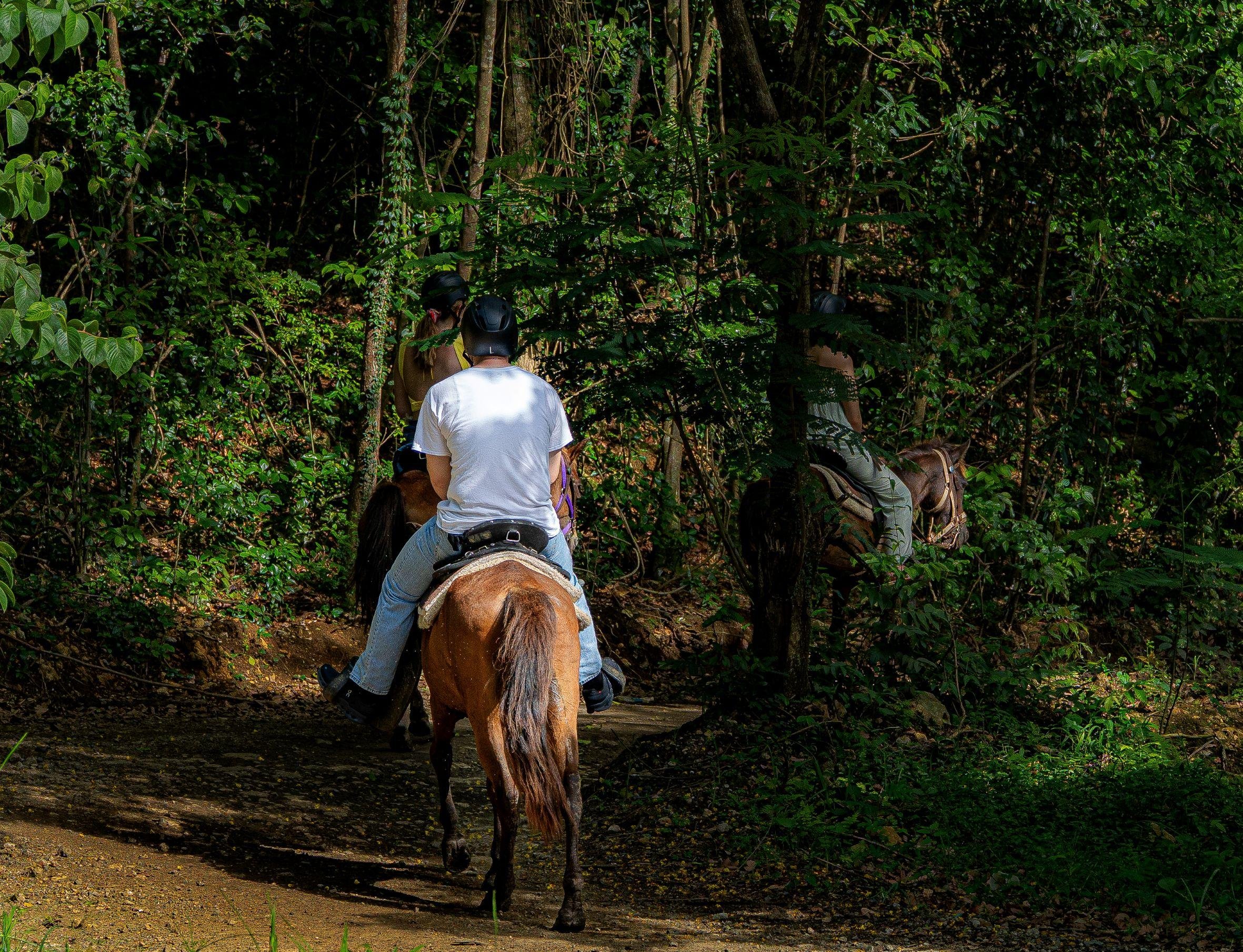 Hacienda Campo Rico: Private Ranch Horseback Adventure