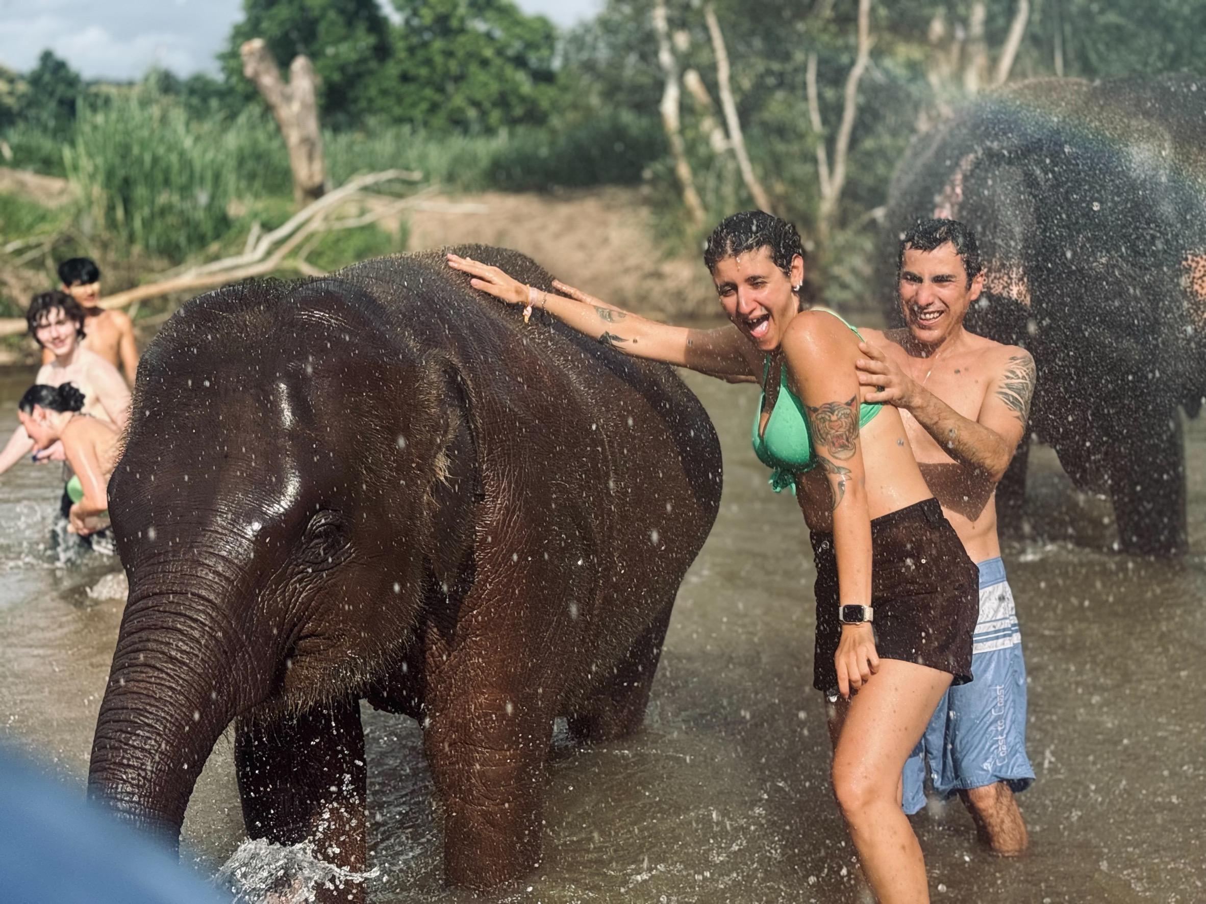Elephant Sanctuary and Cooking Class — image 25