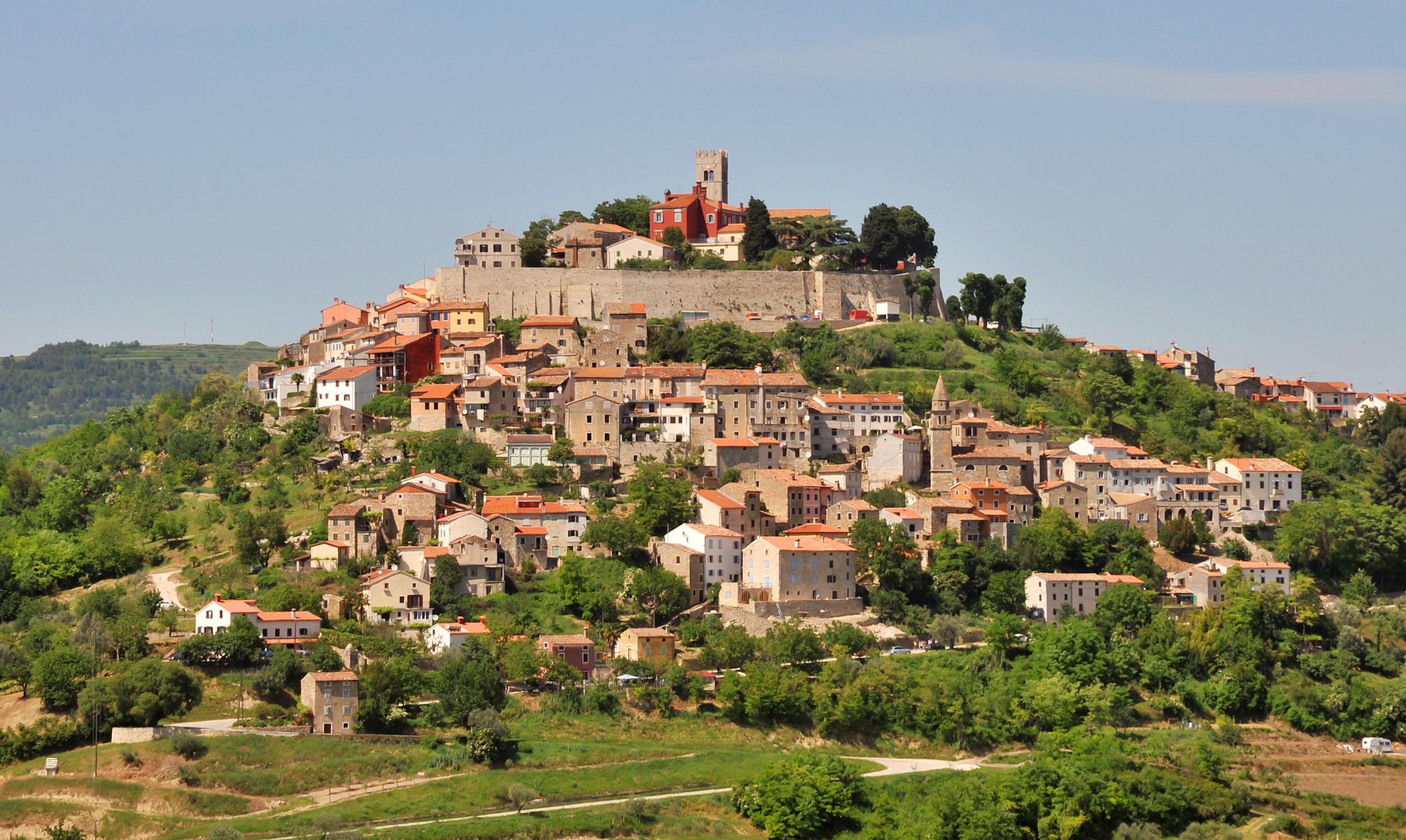 Truffle Hunting & Hilltop Villages from Rovinj or Pula