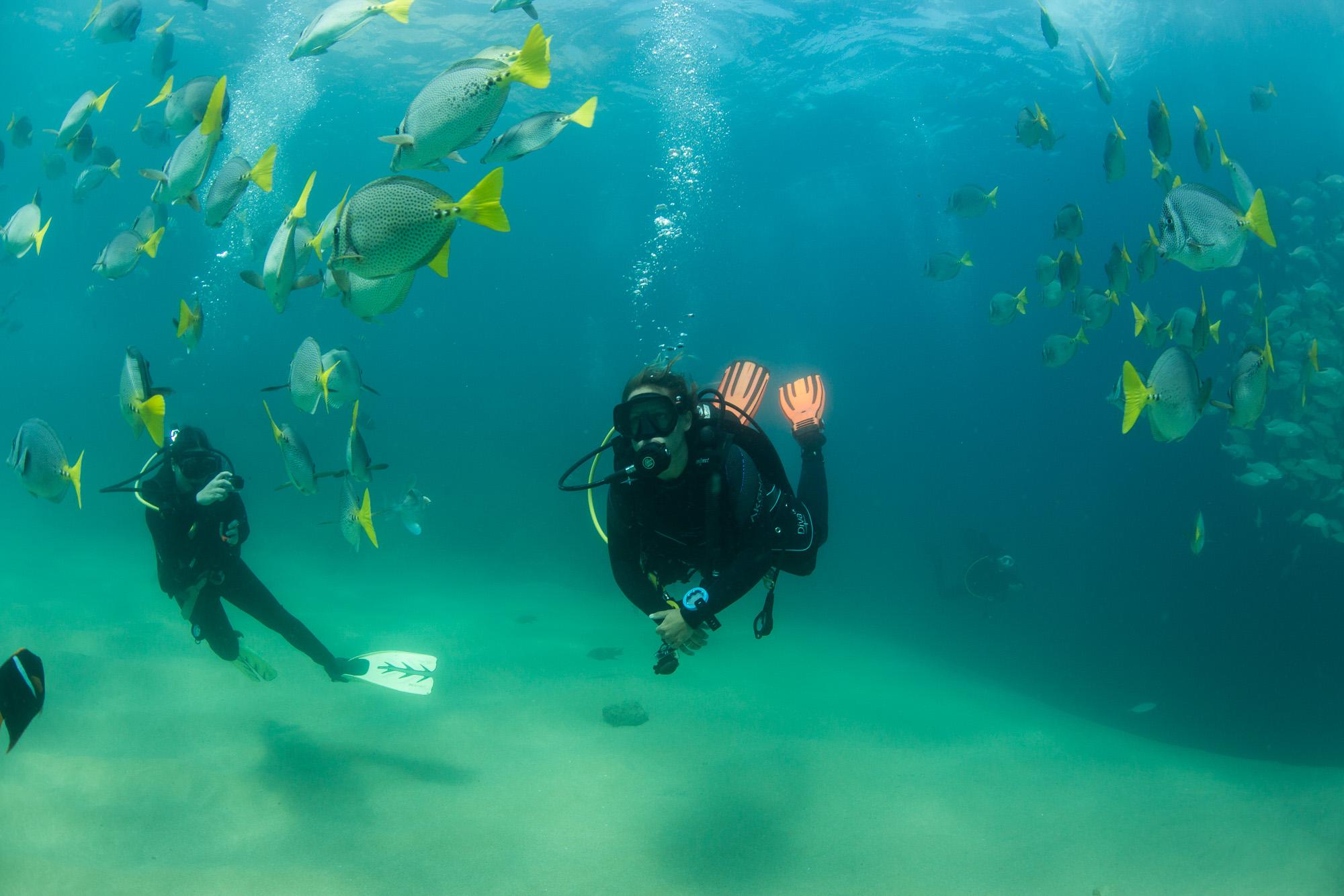 Cabo San Lucas Marine Park: Two-Tank Scuba Diving Adventure