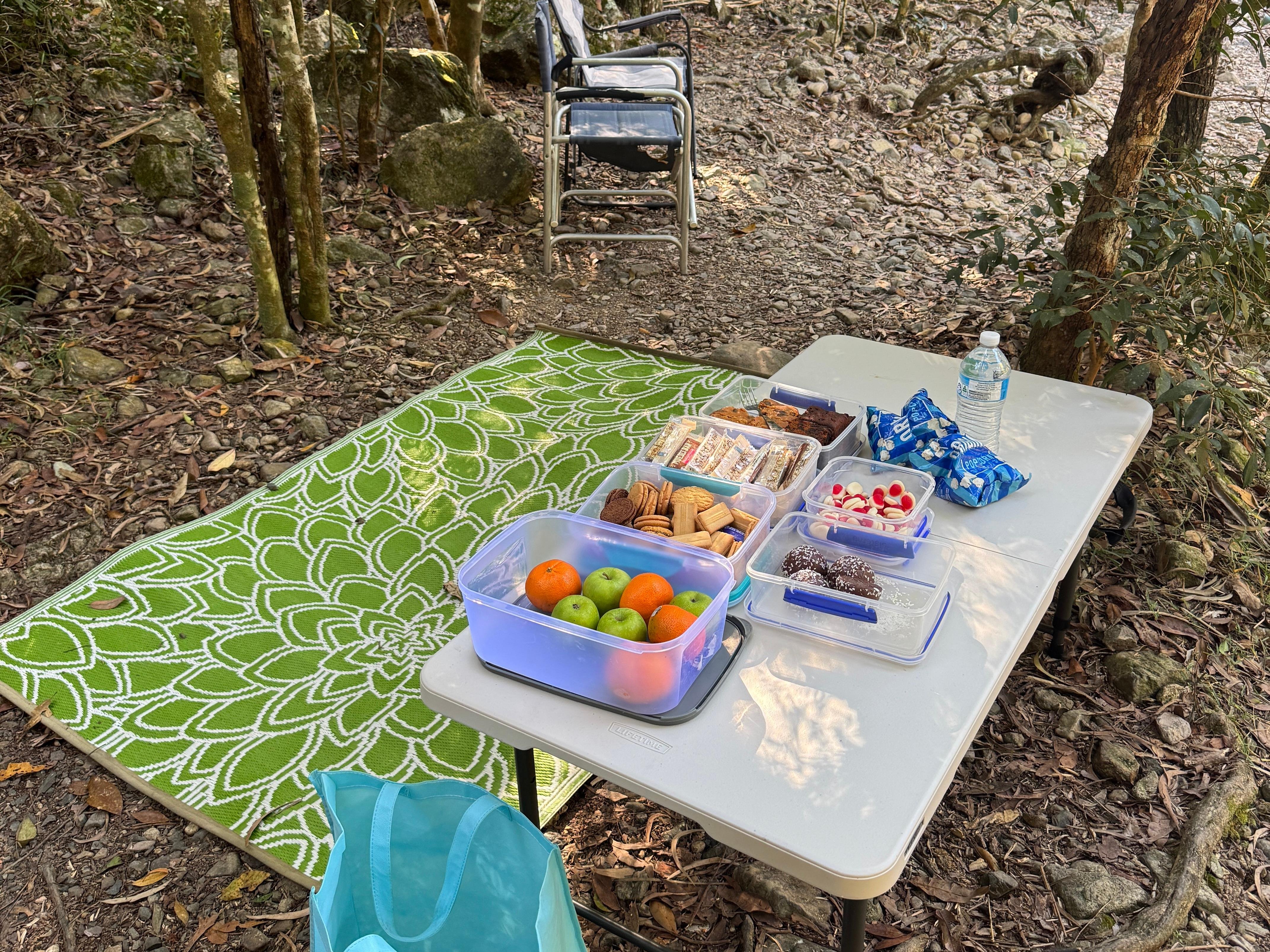 Cedar Creek Falls Eco Tour from Airlie Beach
