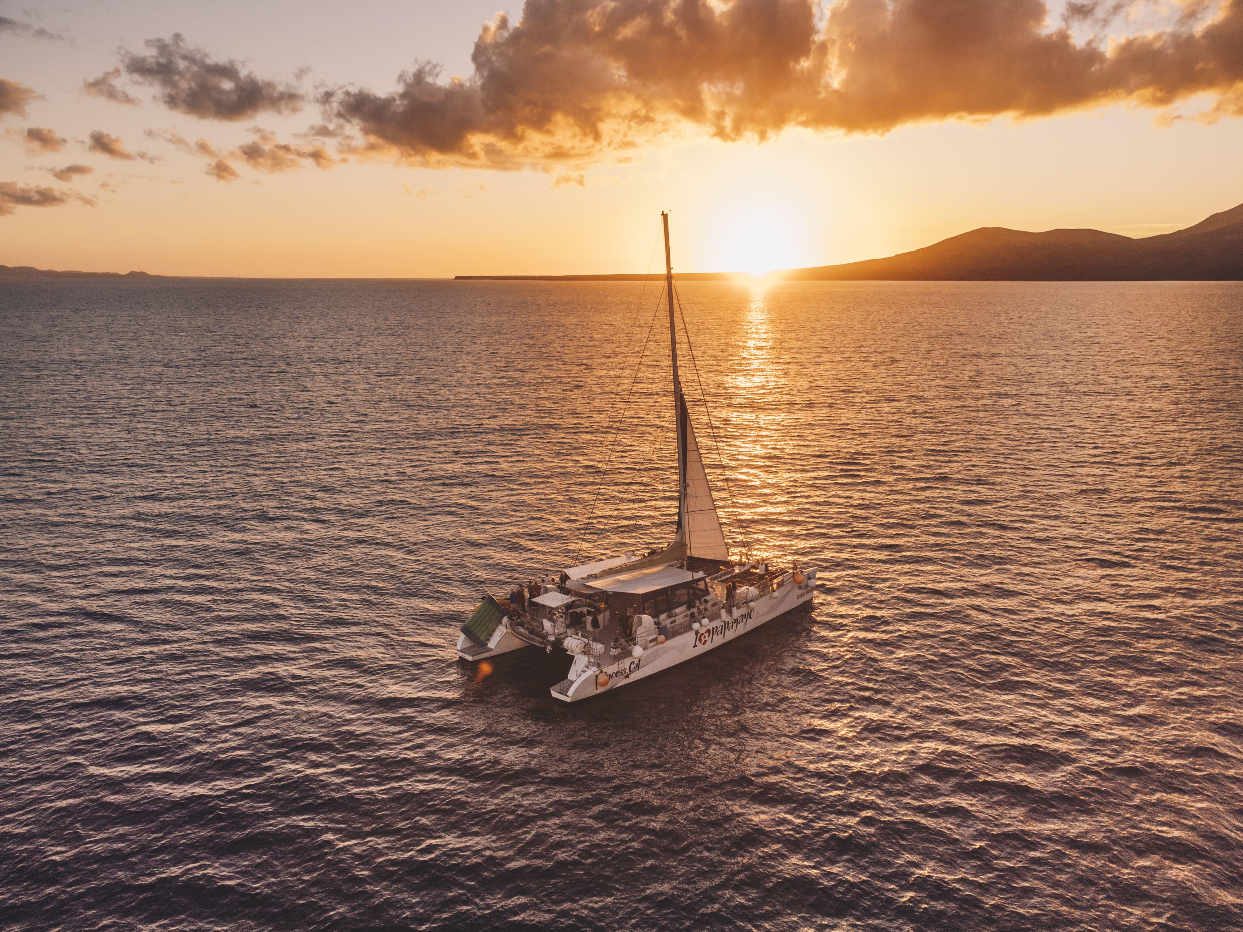 Lanzarote Sunset Catamaran Cruise & Dolphin Search