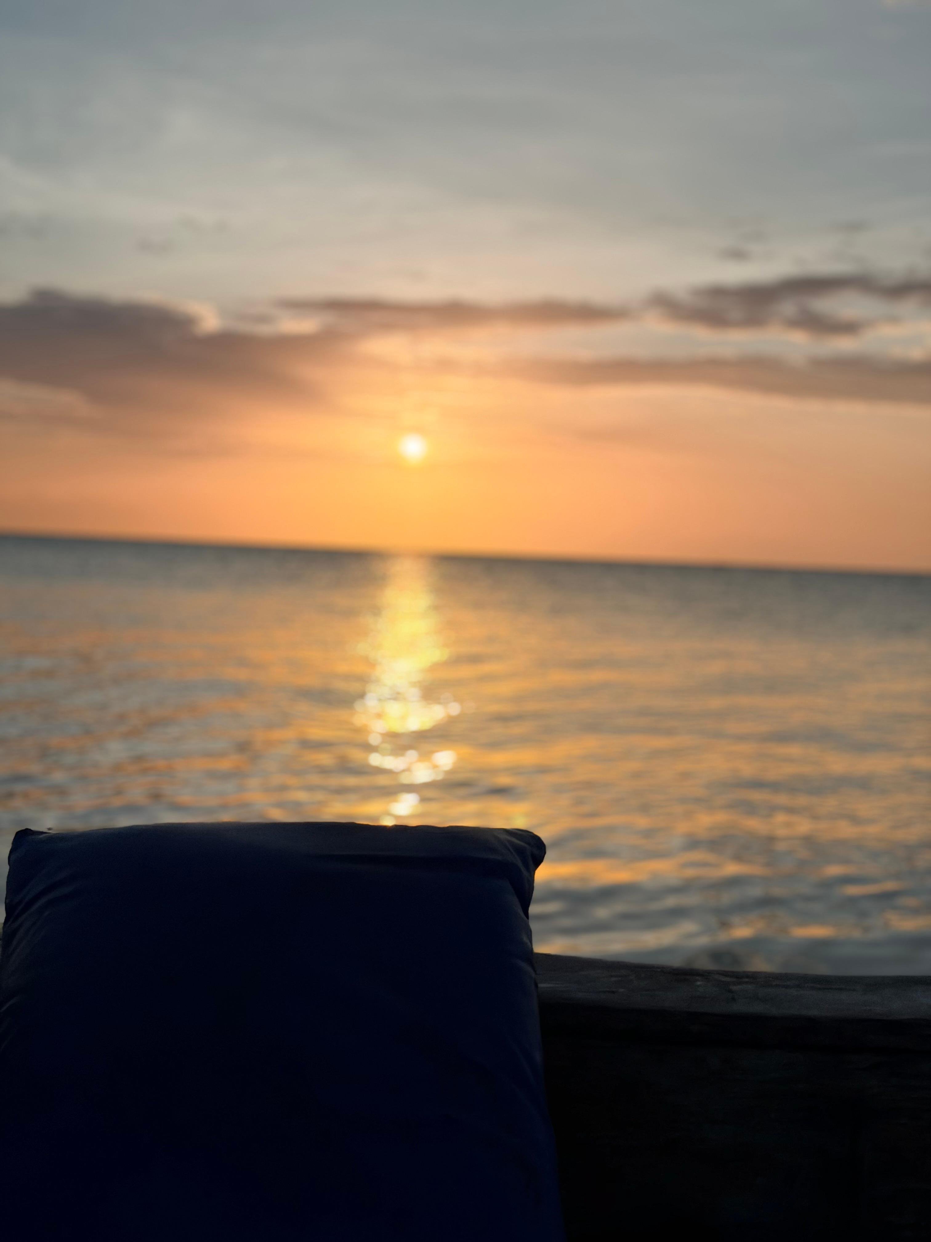 Zanzibar Sunset Dolphin Swim & Mnemba Island Snorkel Tour