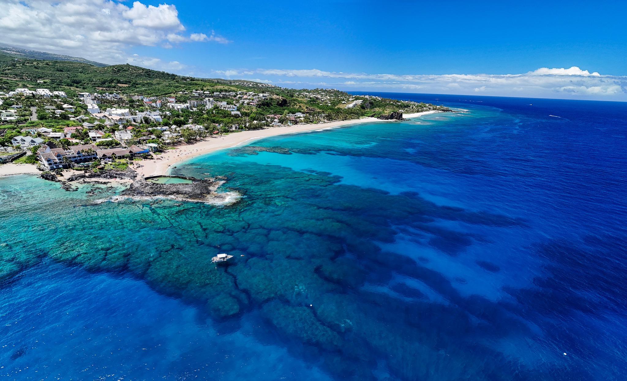 Saint-Gilles Dolphin and Whale Snorkeling Boat Tour