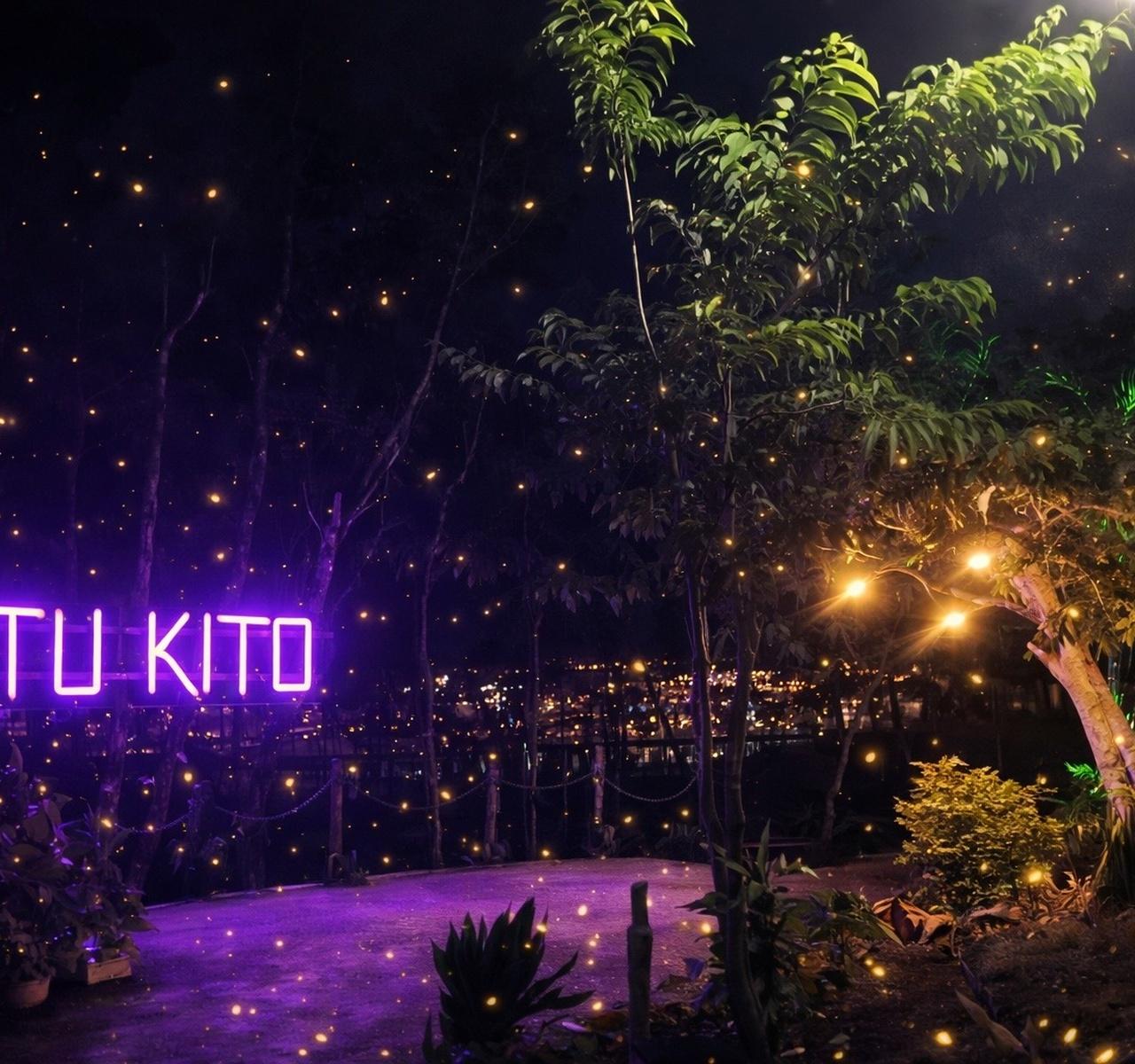 Puerto Princesa Bioluminescent Plankton & Firefly Evening Cruise