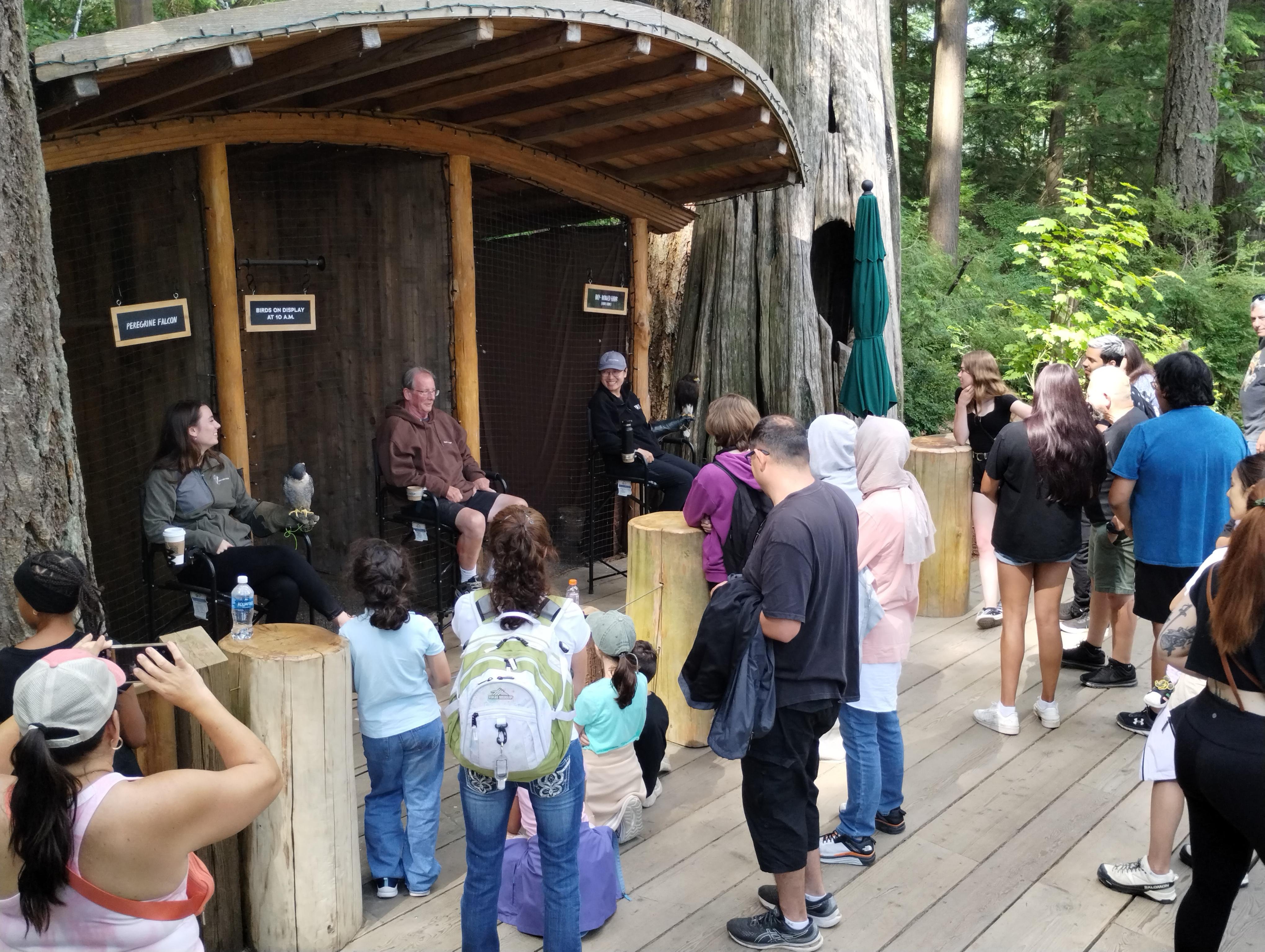 Capilano Suspension Bridge & Stanley Park Small Group Tour