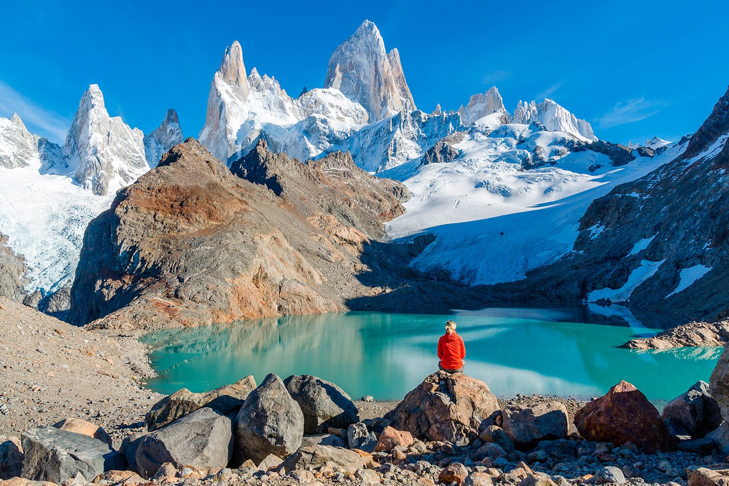 Torres del Paine Full-Day Adventure from El Calafate