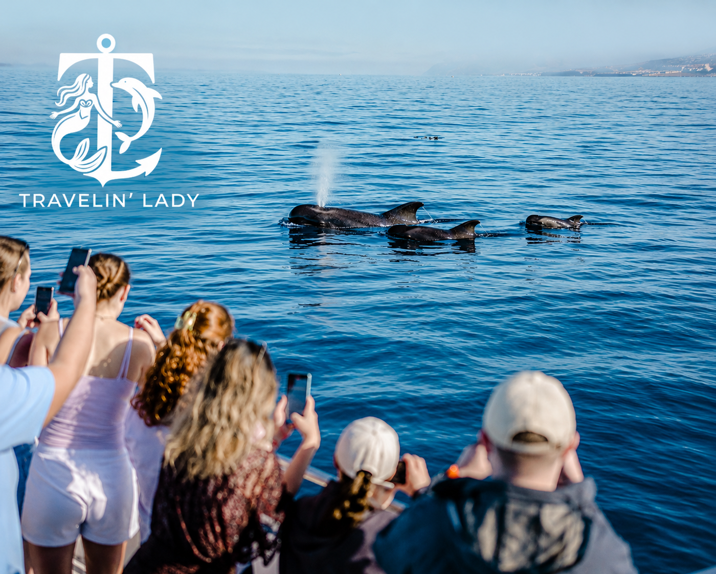 Tenerife Eco-Yacht Whale & Dolphin Watching Cruise