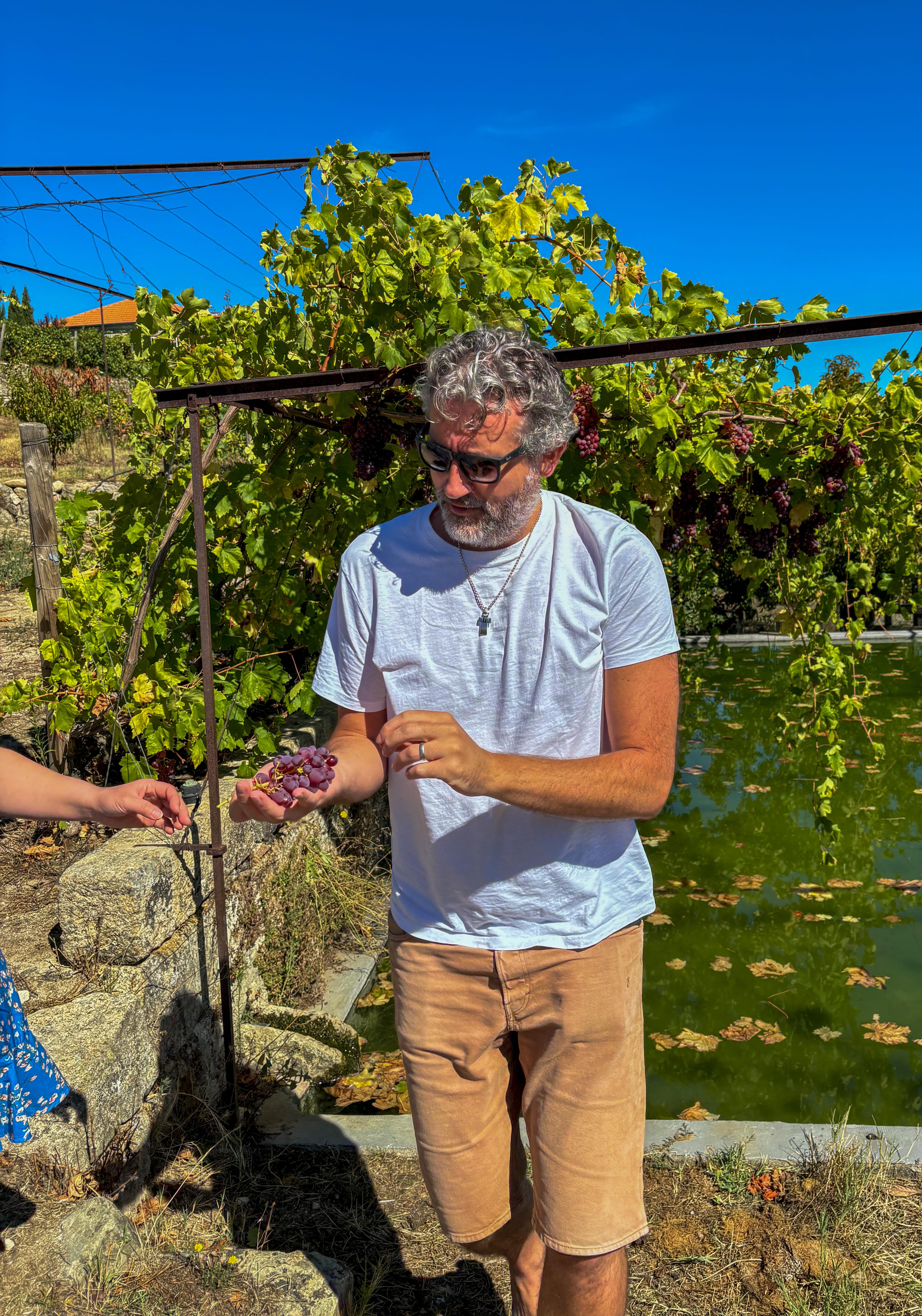 olive oil tasting in Porto — photo 9