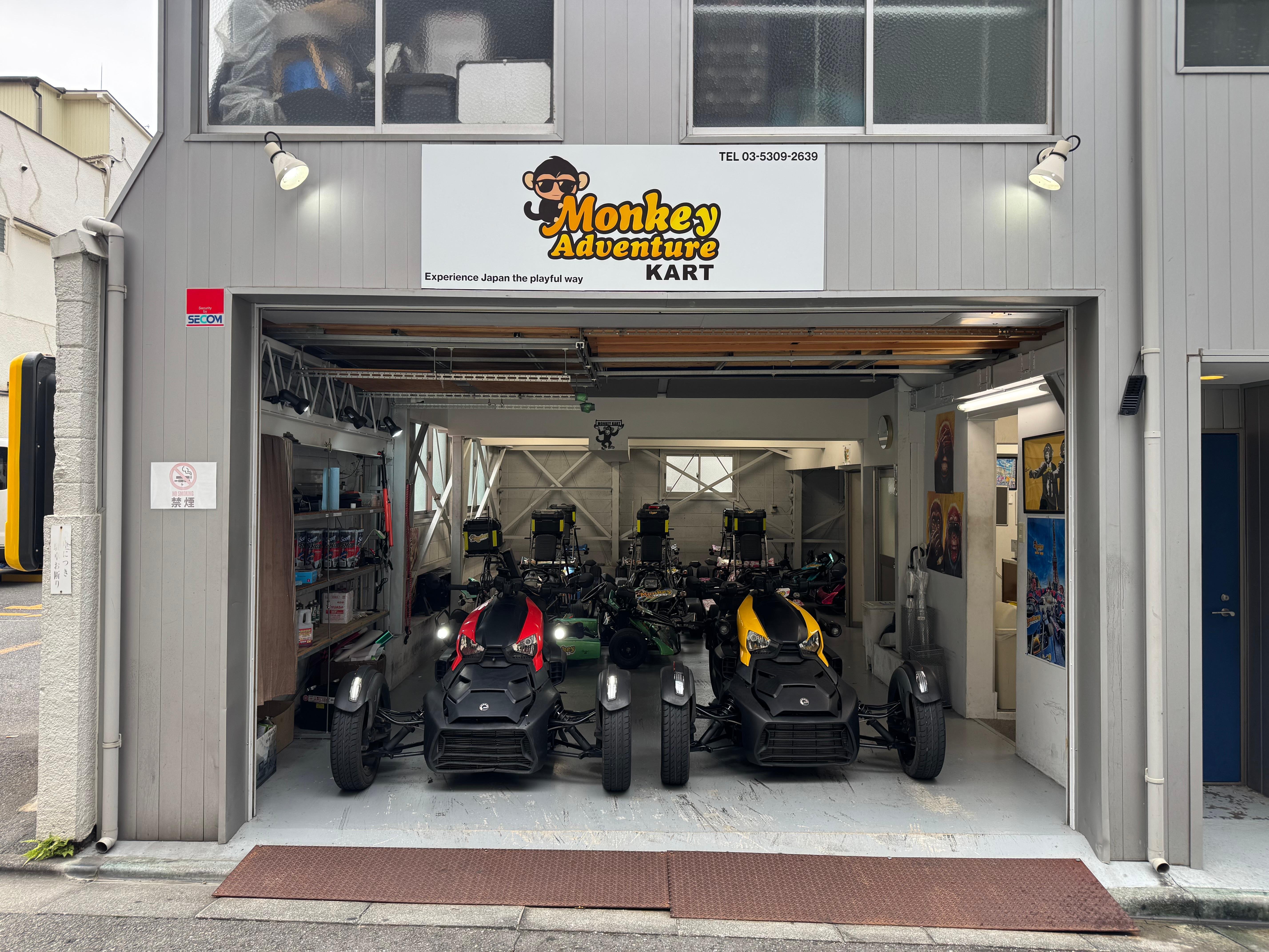 Tokyo Go-Kart Tour: Tokyo Tower & Shibuya Crossing