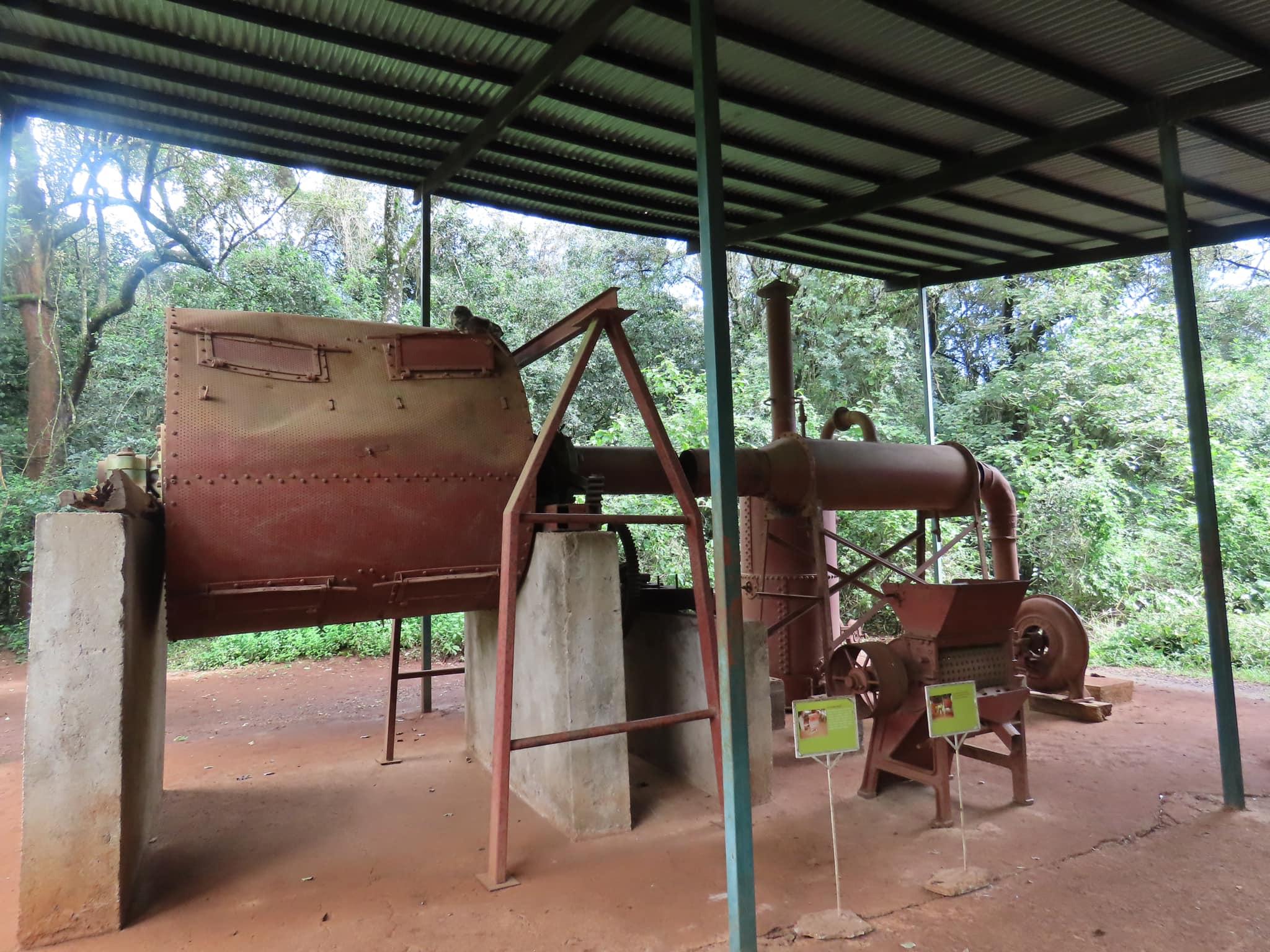 Nairobi Heritage: Karen Blixen, Giraffe Center & Bead Crafting