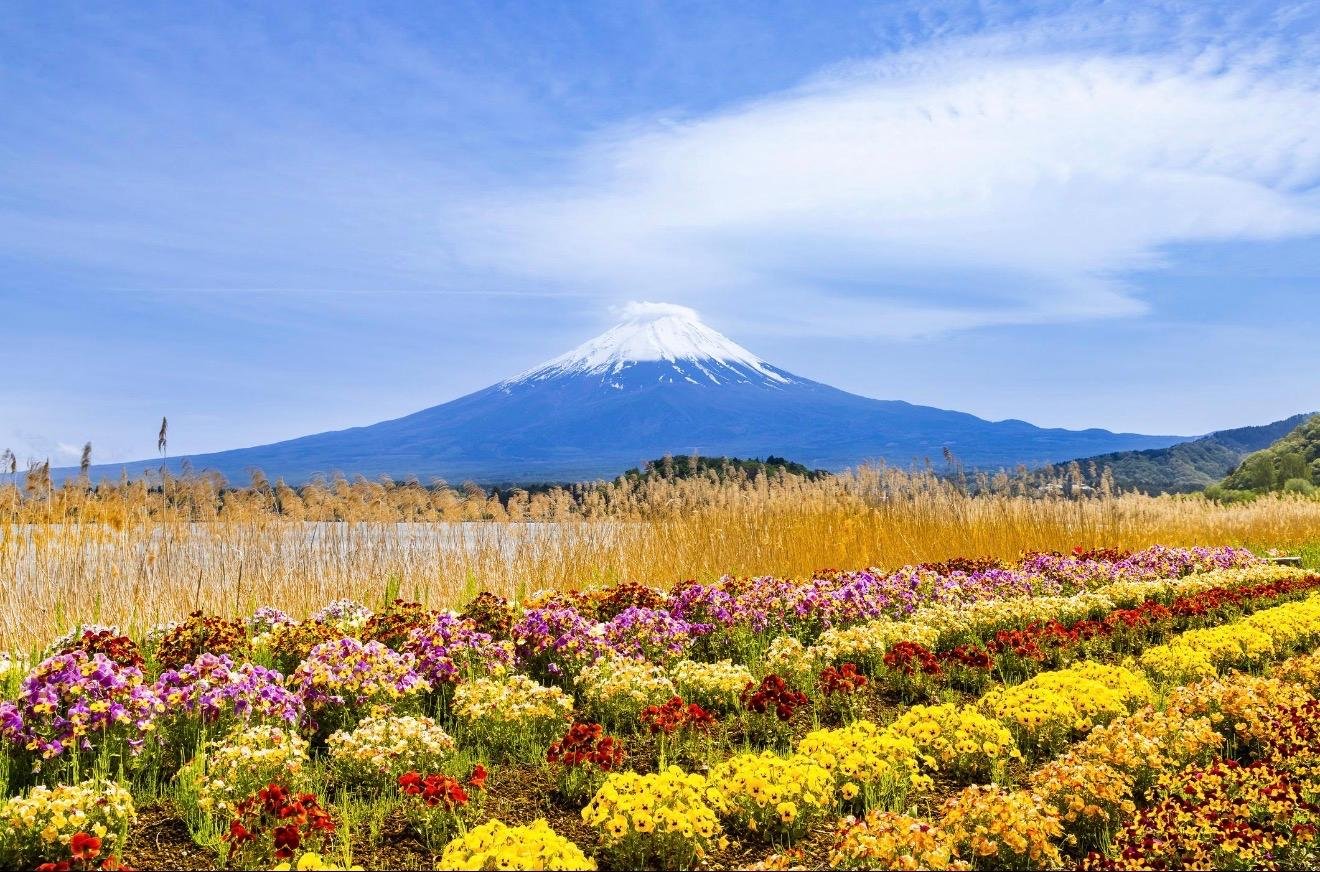 Customizable Mount Fuji Private Day Trip from Tokyo