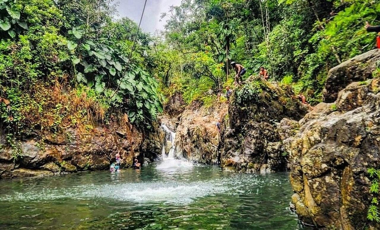 Private El Yunque Rainforest Expedition from San Juan