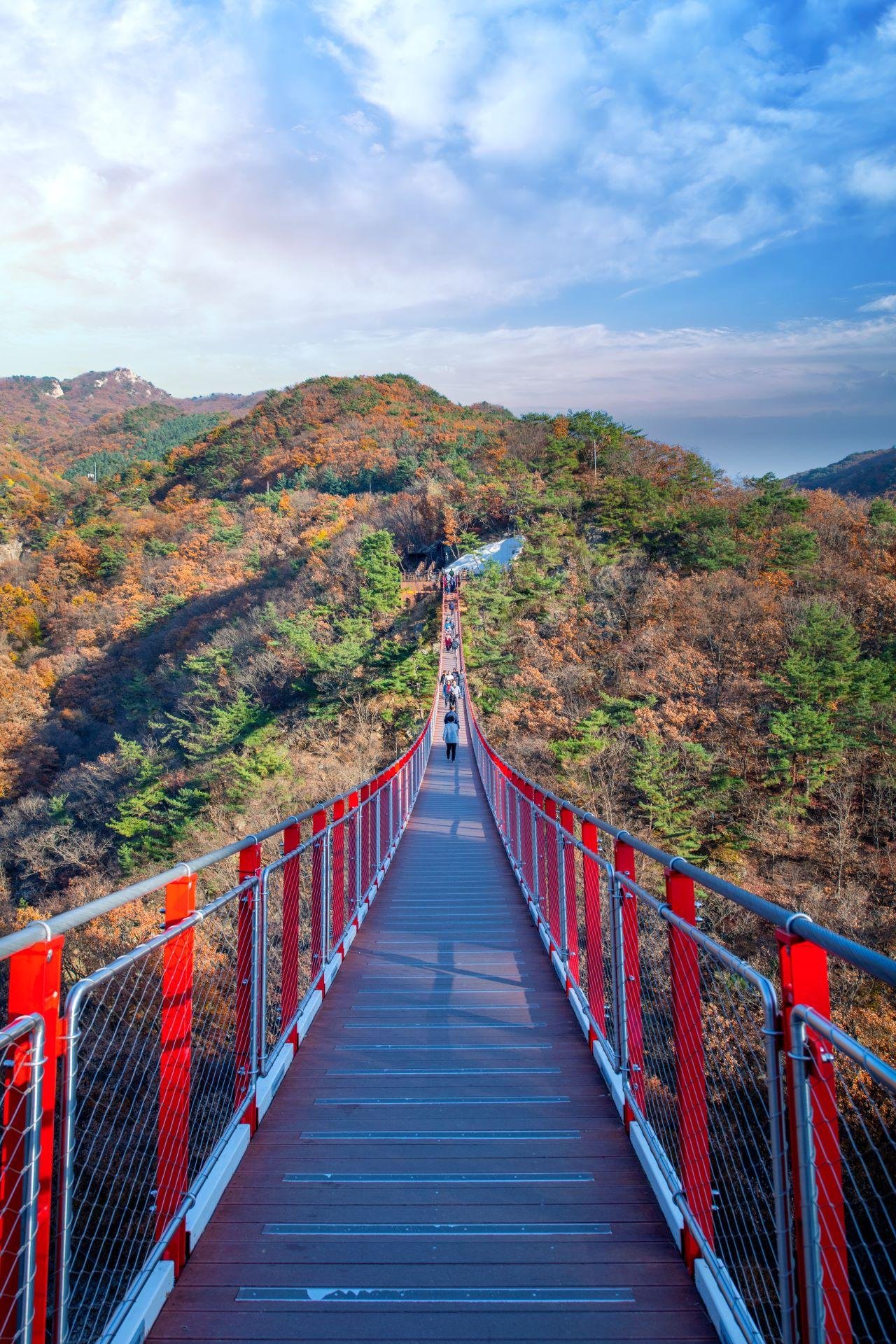 Seoul DMZ Tour: JSA Museum, Defector Talk & Scenic Add-Ons