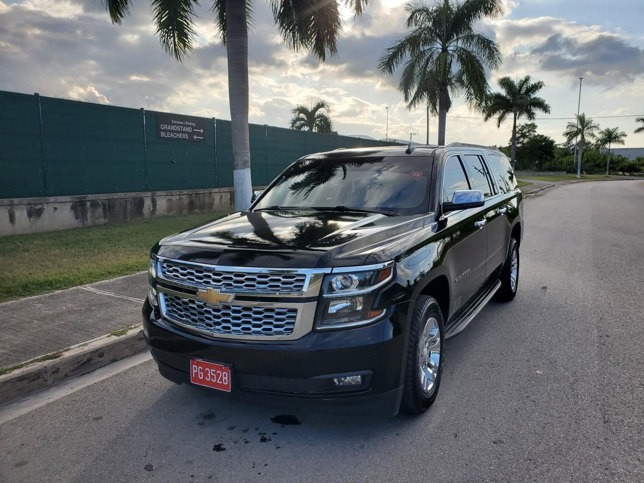 Punta Cana Airport Private VIP Transfer