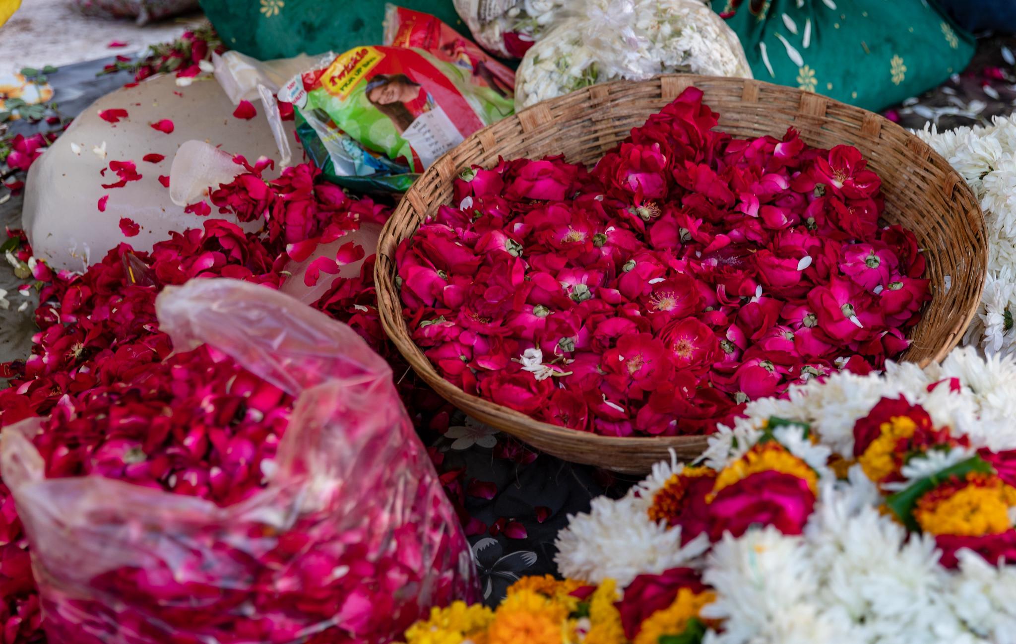 Jaipur Full-Day Highlights: Amber Fort to Nahargarh Sunset