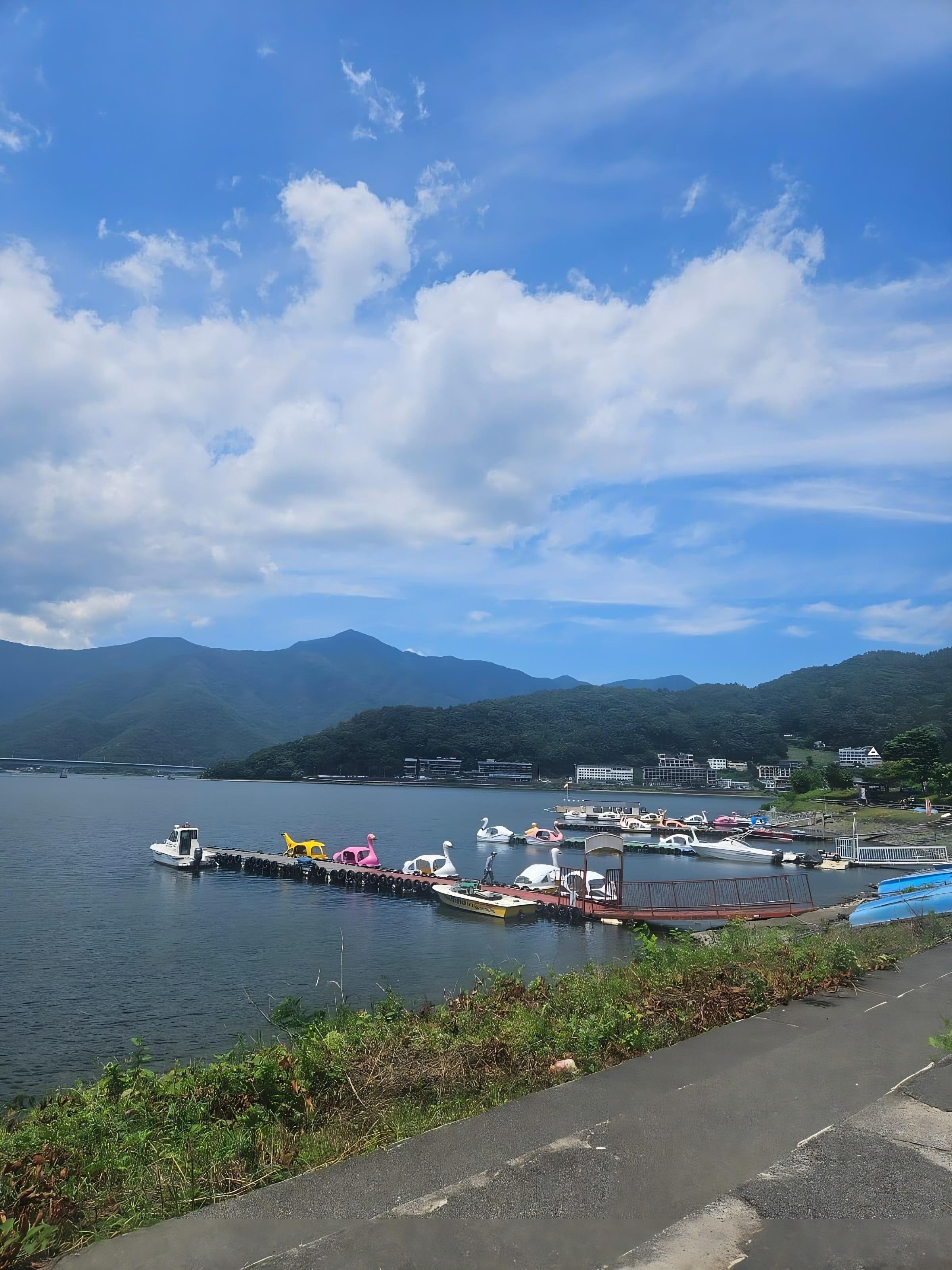 Tokyo to Mt. Fuji & Hakone: Private Full-Day Tour with English Driver