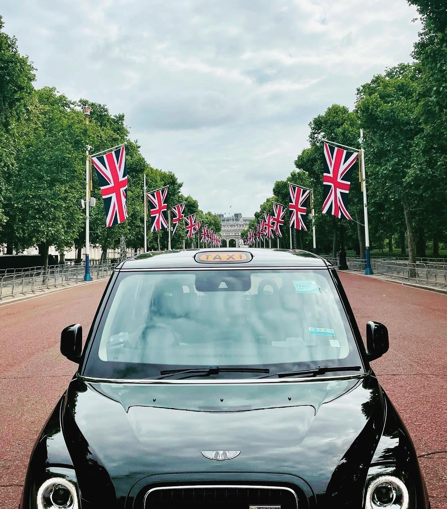 London Iconic Electric Black Cab Private Sightseeing Tour