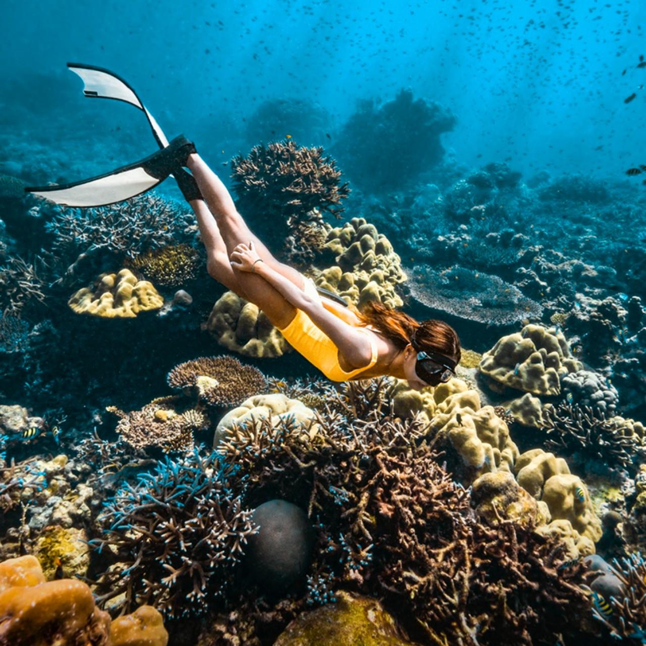 Similan Islands Luxury Catamaran Day Trip from Phuket & Khao Lak