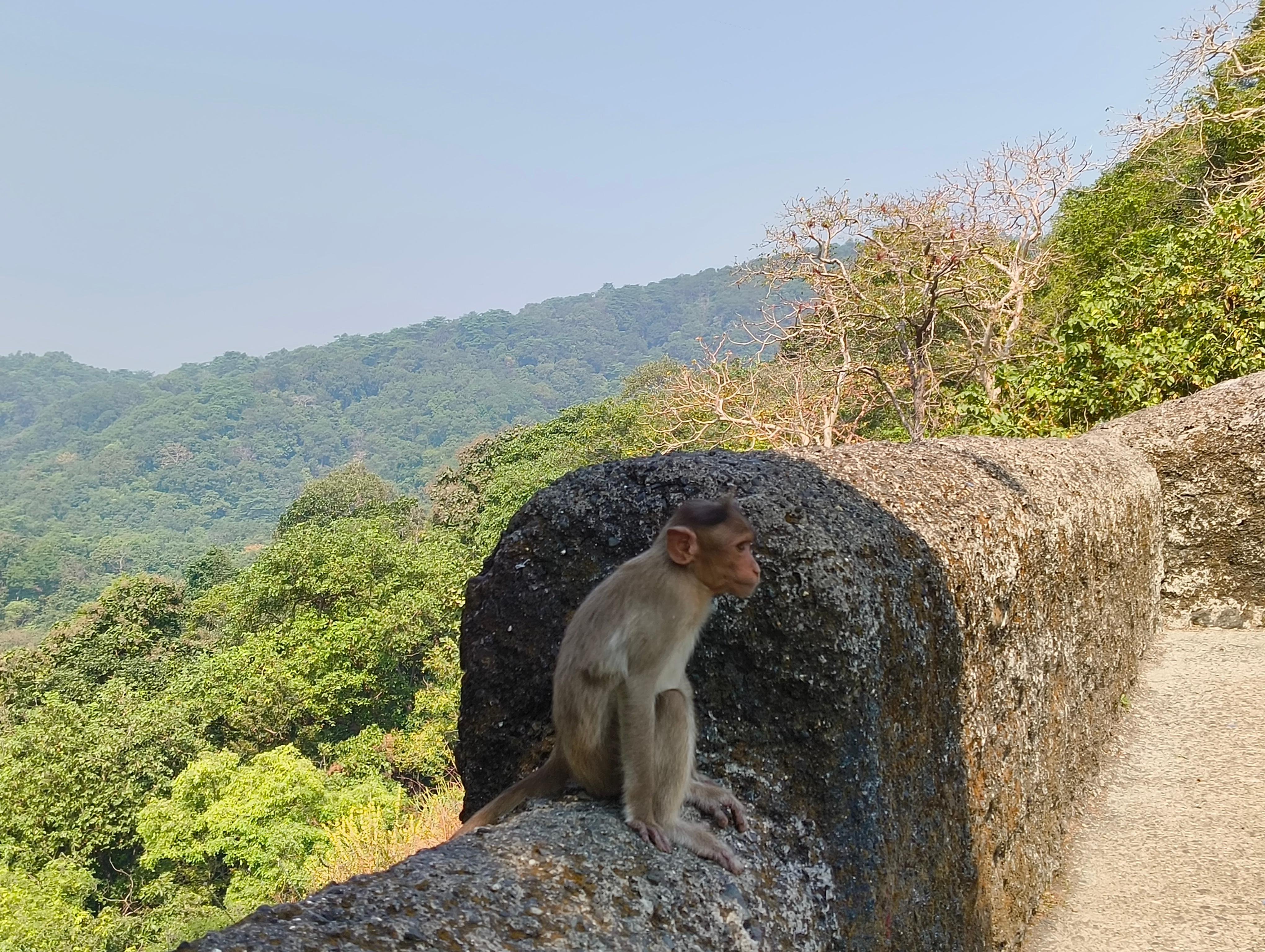 Mumbai Kanheri Caves & Buddhist Heritage Tour