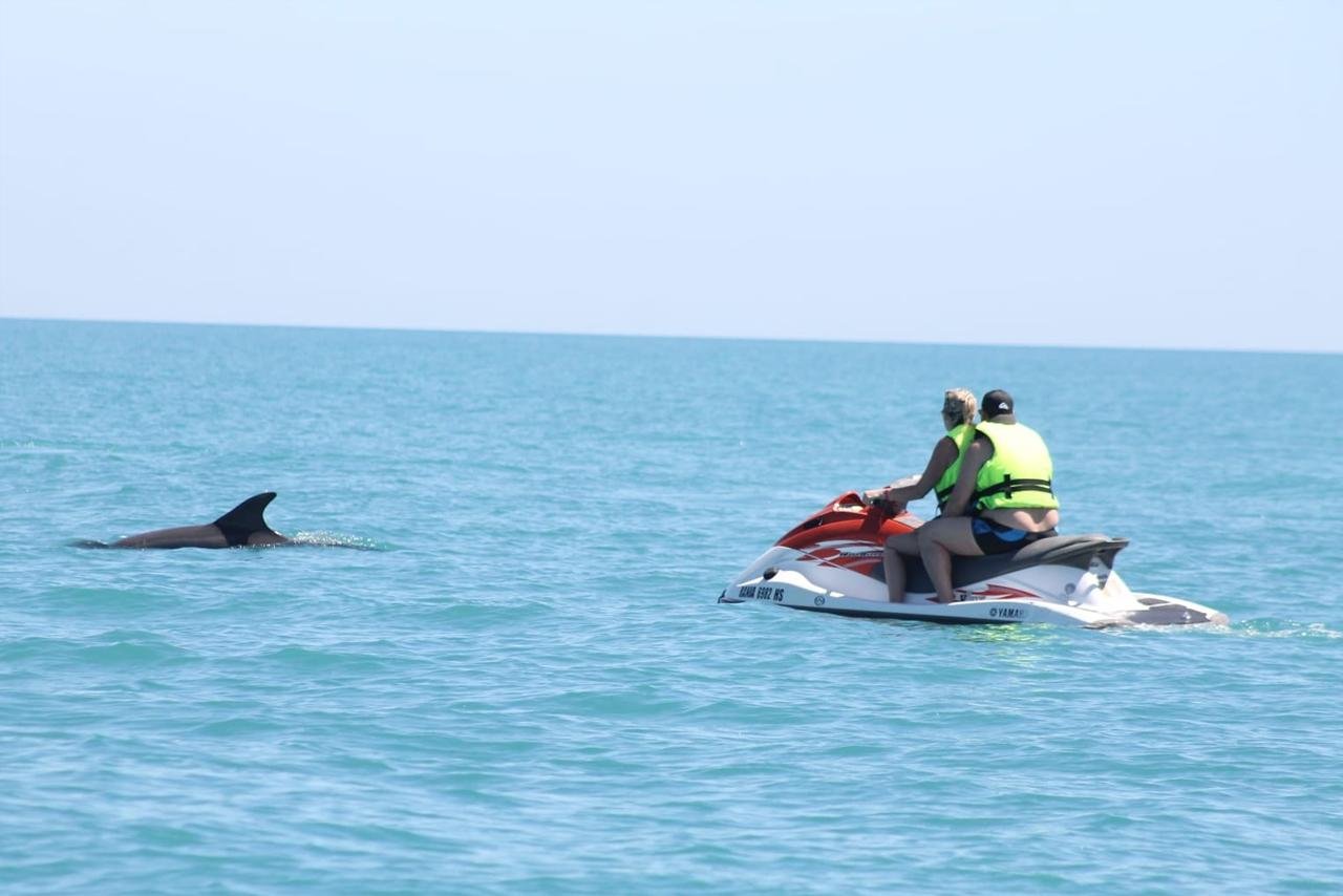 Djerba Jet Ski Adventure with Dolphin Watching