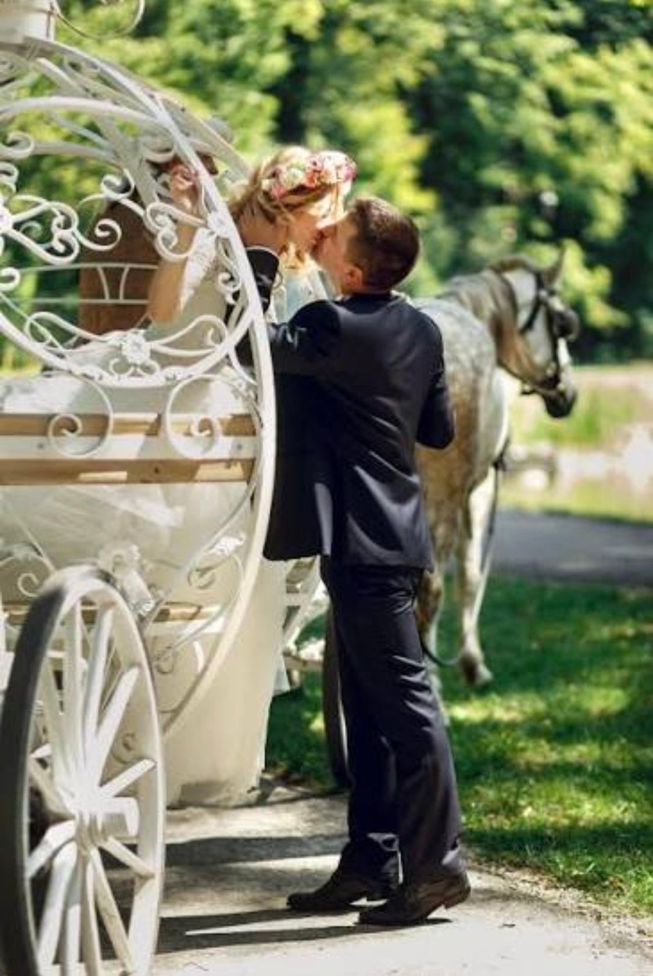 Private Central Park Horse Carriage Tour with Guide