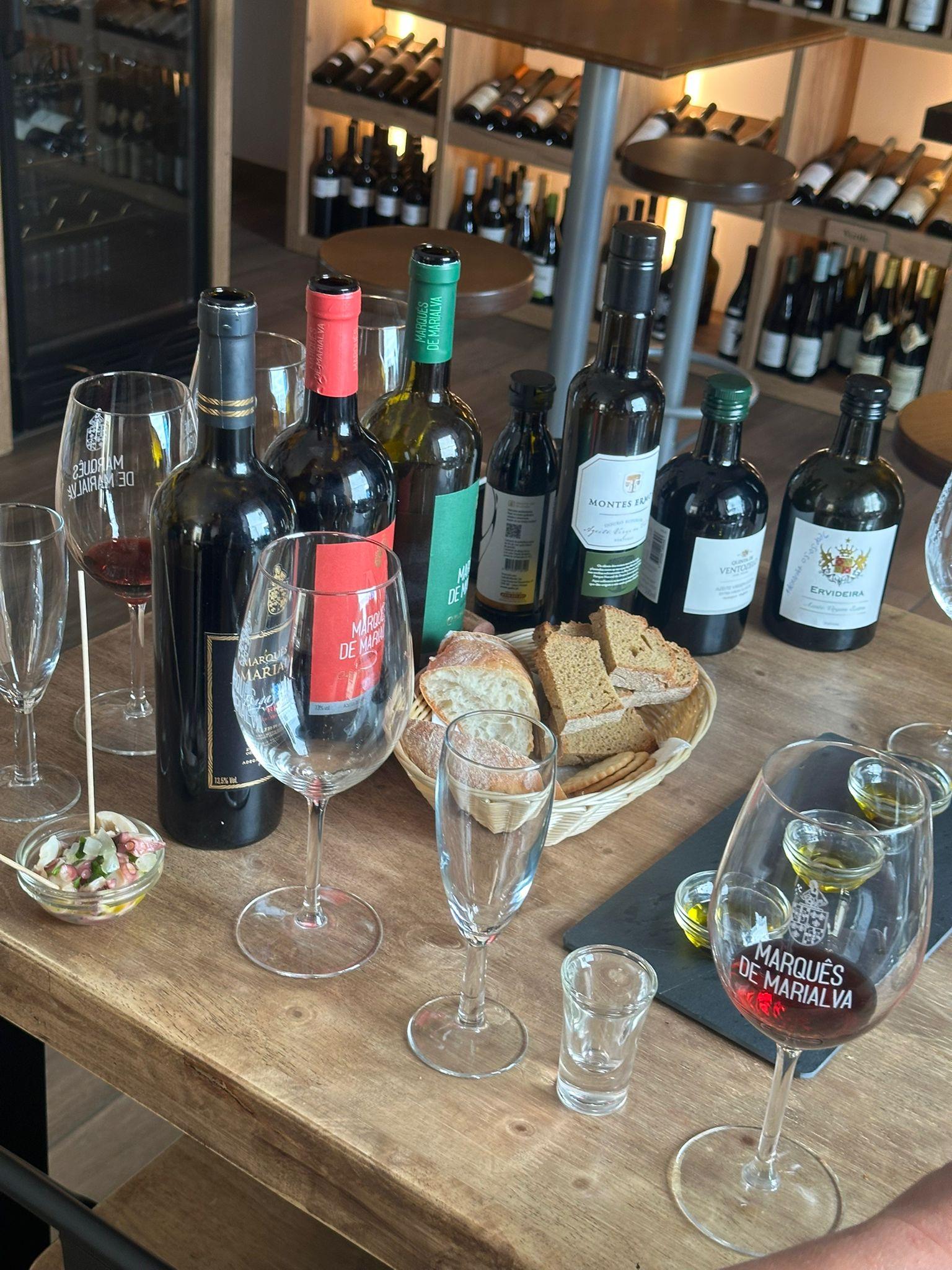 Aveiro Moliceiro Boat Tour with Wine & Olive Oil Tasting