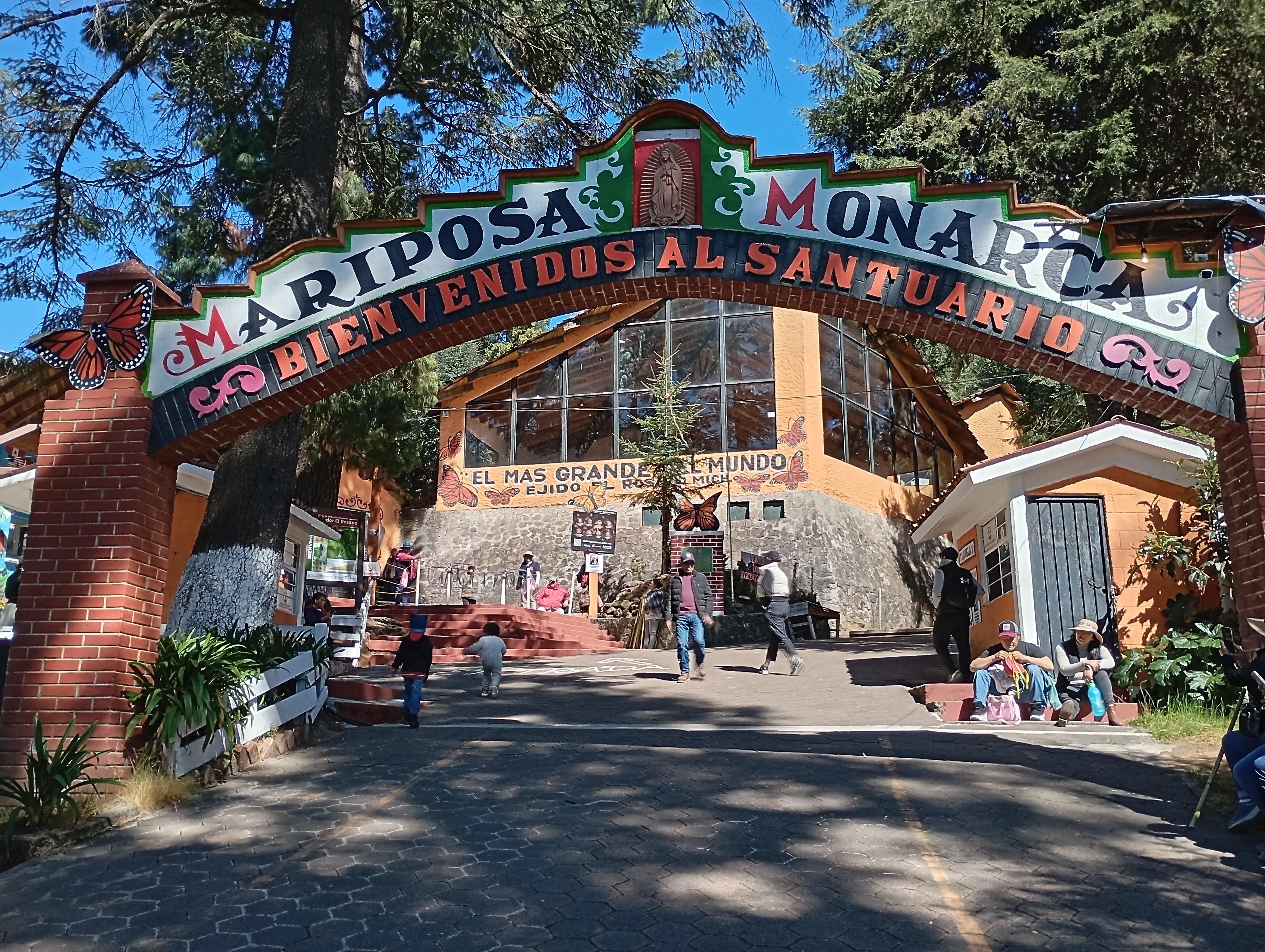 El Rosario Monarch Butterfly Sanctuary Day Trip