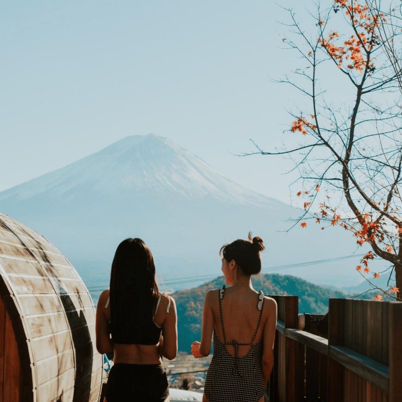 Private Mount Fuji & Hakone Day Tour from Tokyo