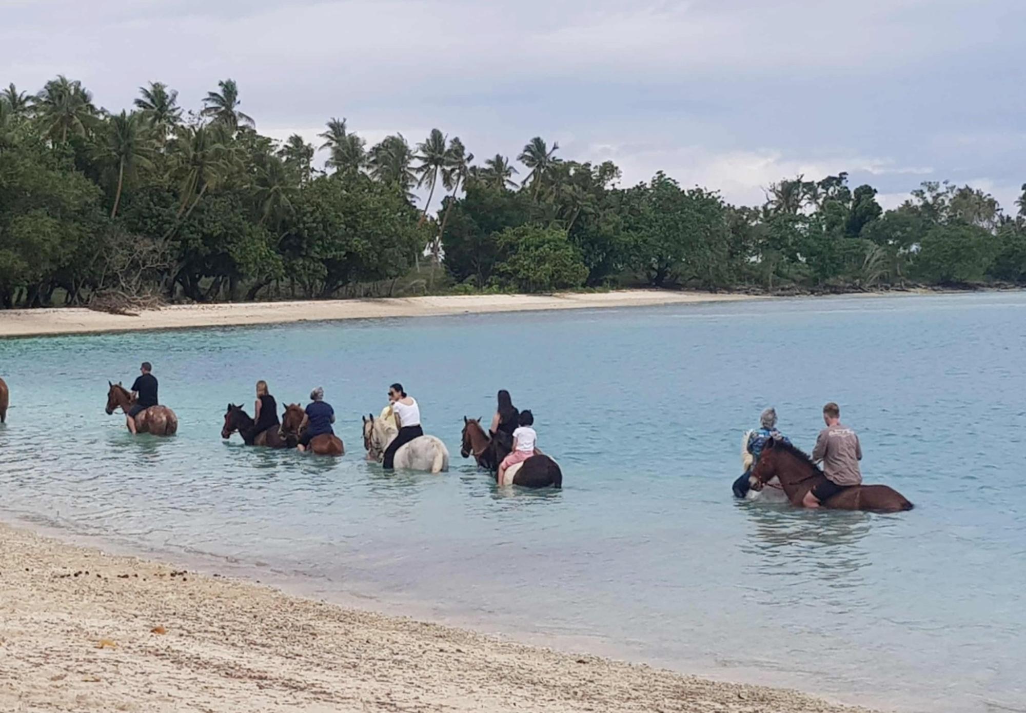 Vanuatu Horseback Beach Ride, Snorkeling & Cultural Village Experience
