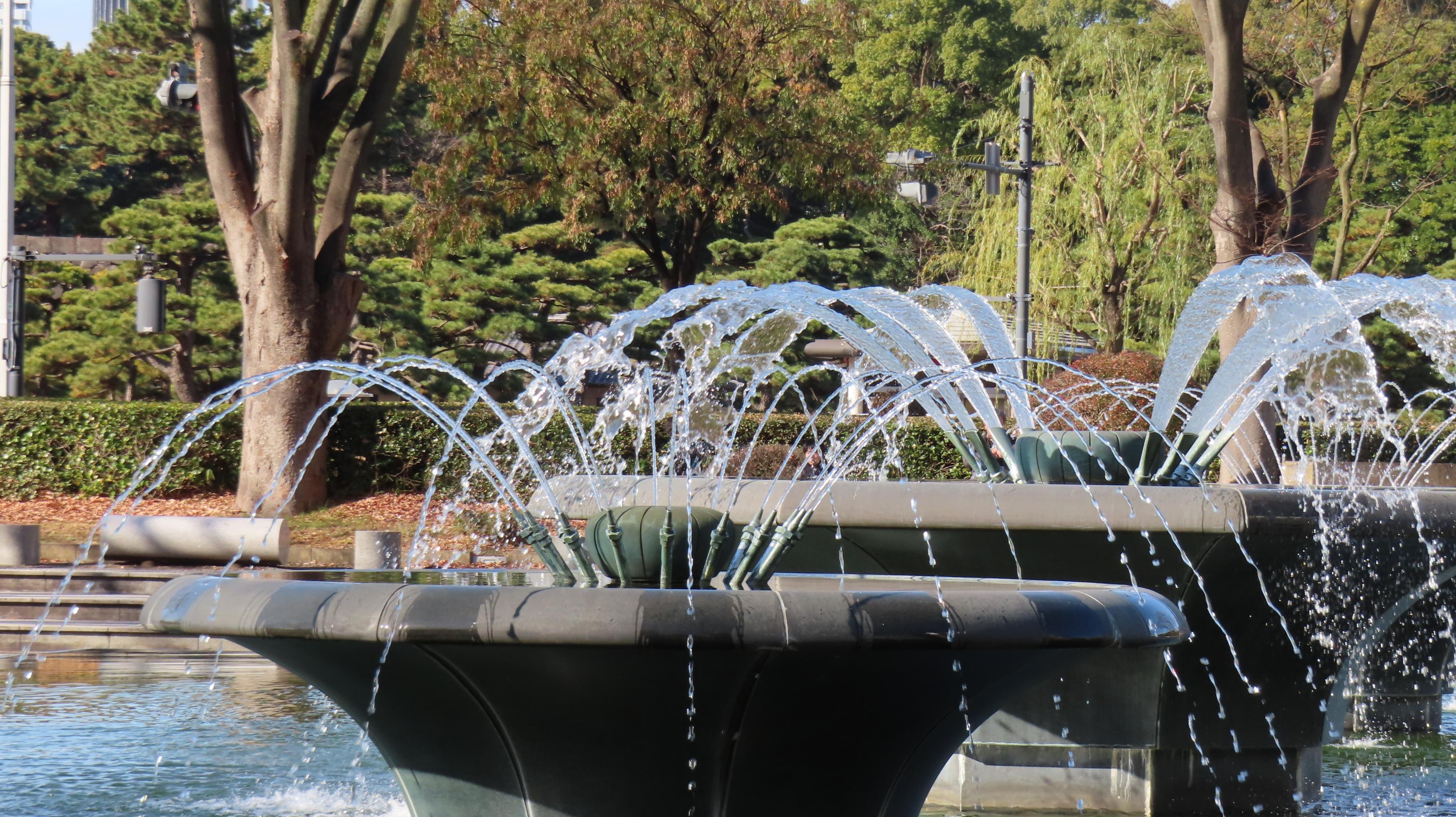 Private Imperial Palace & Edo Castle History Tour