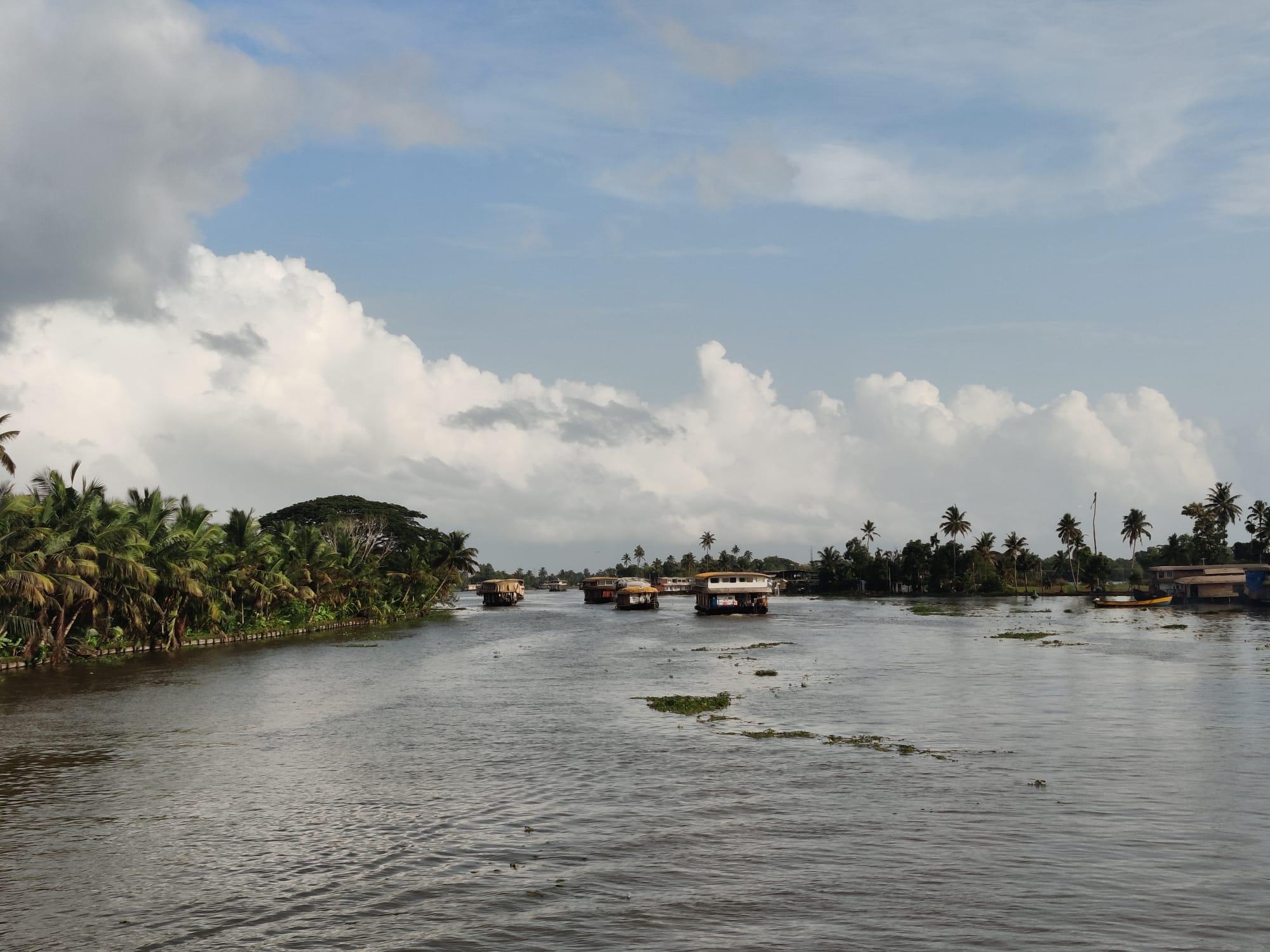 5-Day Kerala Escape: Munnar Hills, Thekkady Wildlife & Alleppey Houseboat