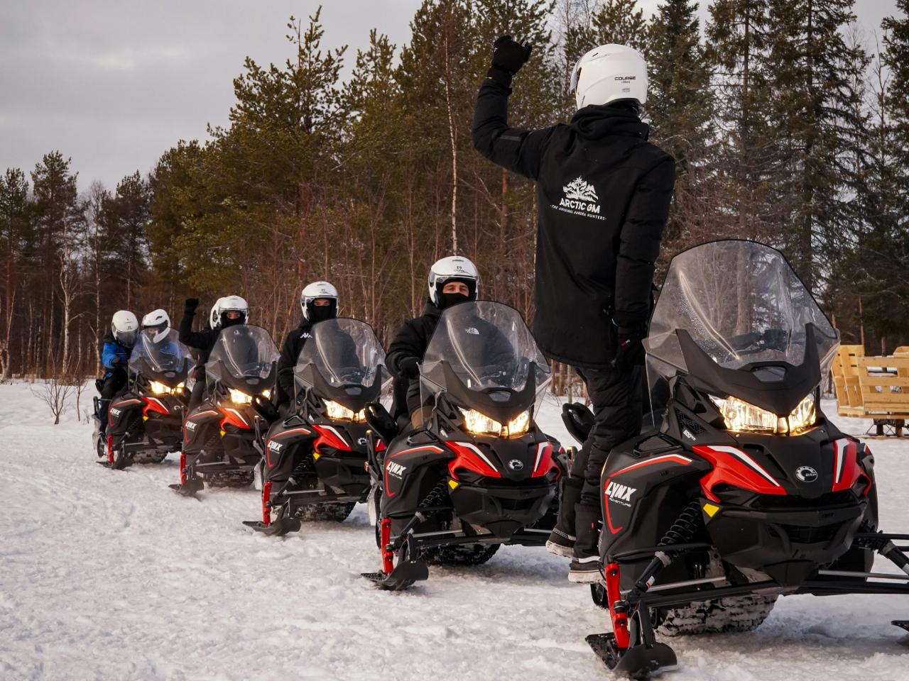 Rovaniemi Arctic Snowmobile Safari on Private Forest Trails